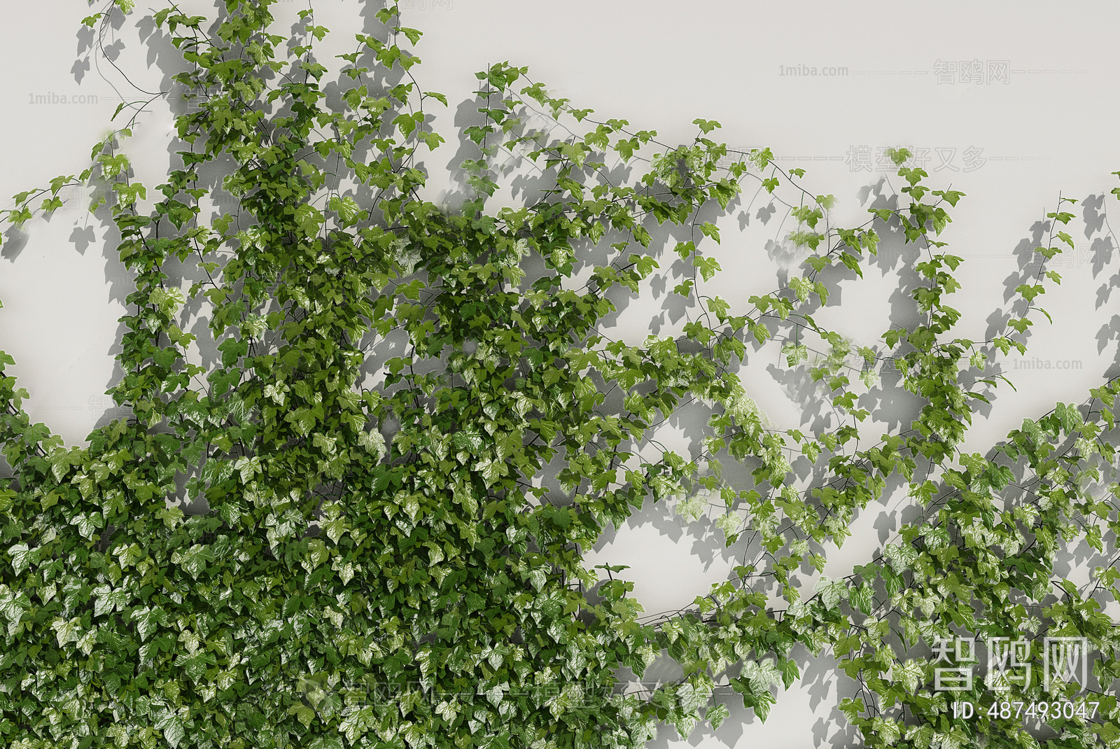 现代藤蔓植物绿植墙