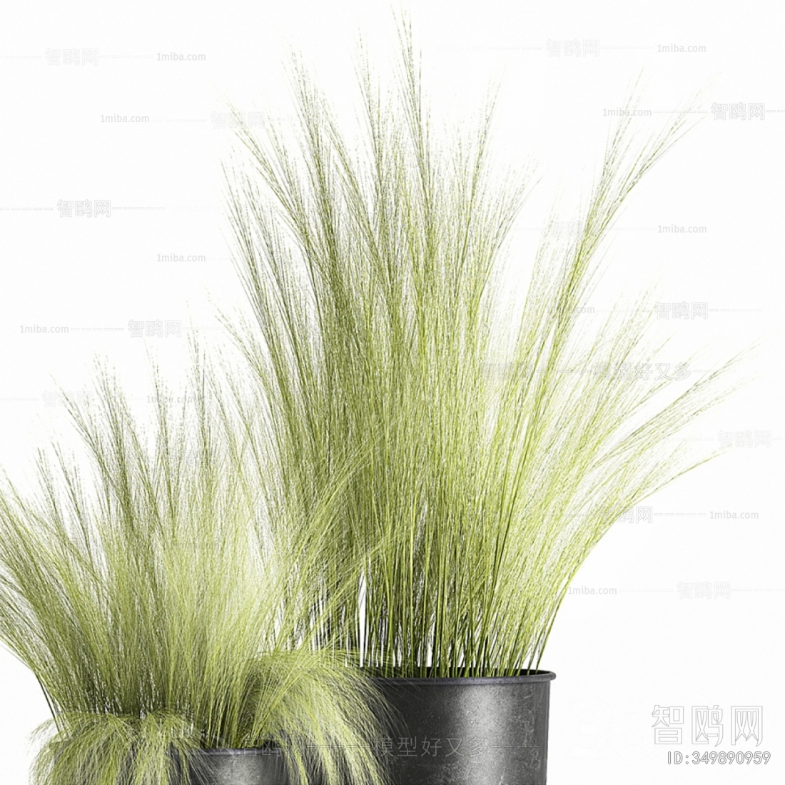 Modern Potted Green Plant