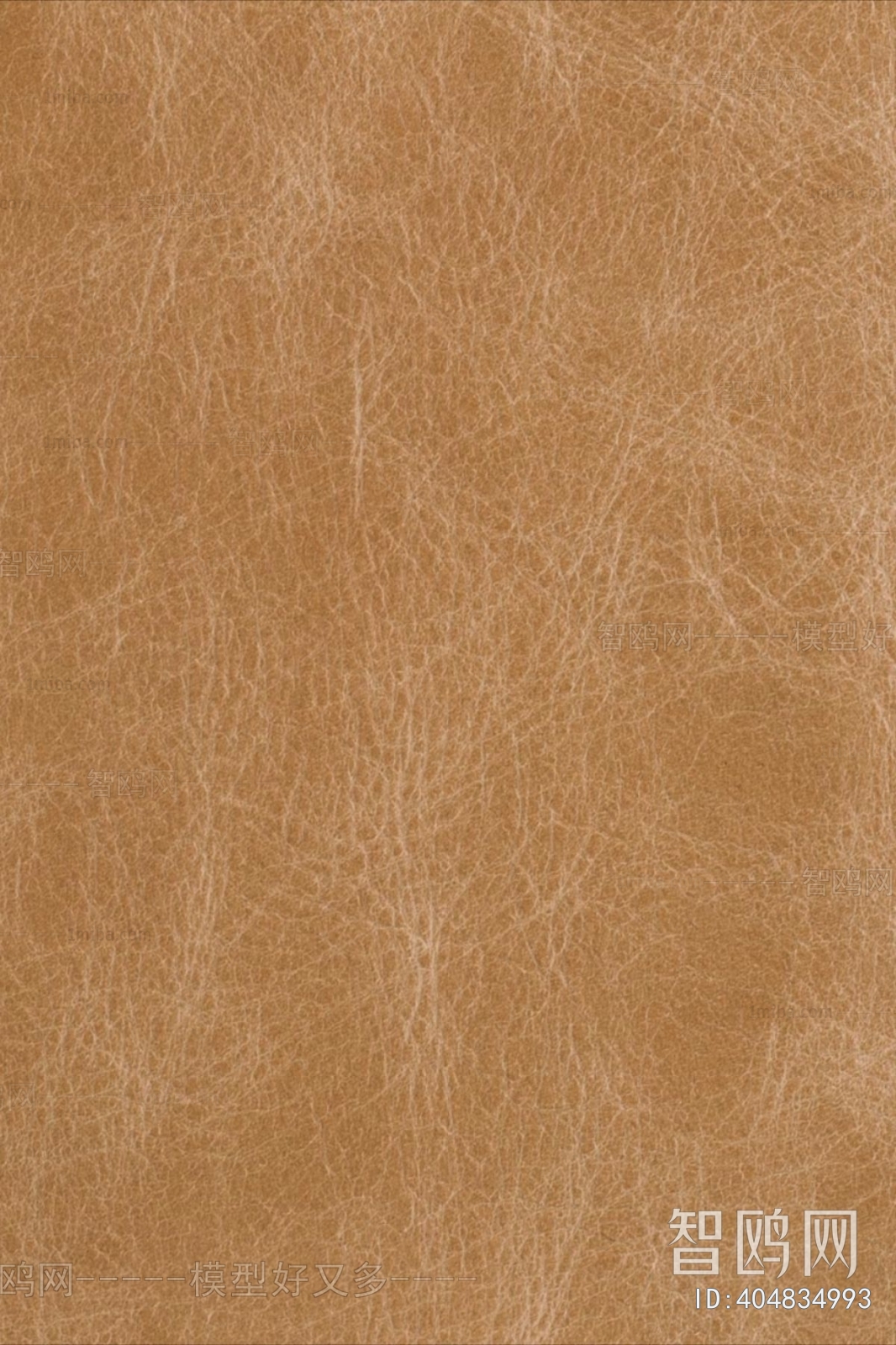 Rough Grain Leather