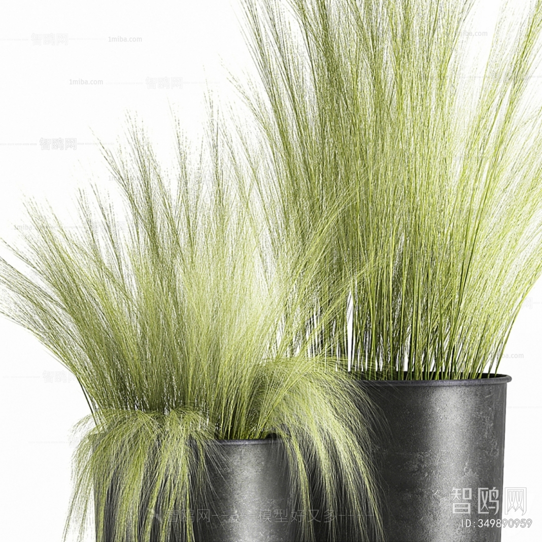 Modern Potted Green Plant