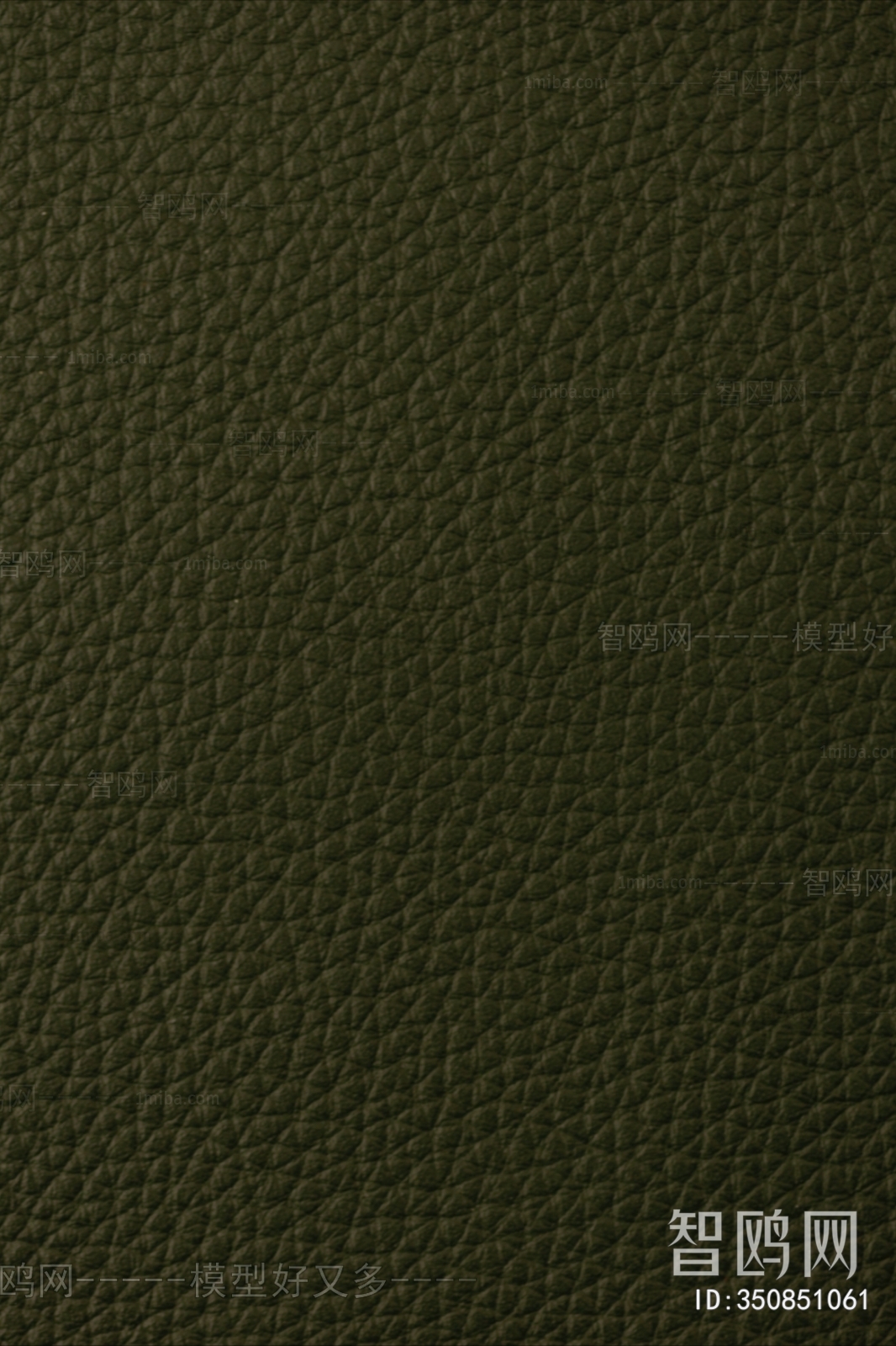 Rough Grain Leather