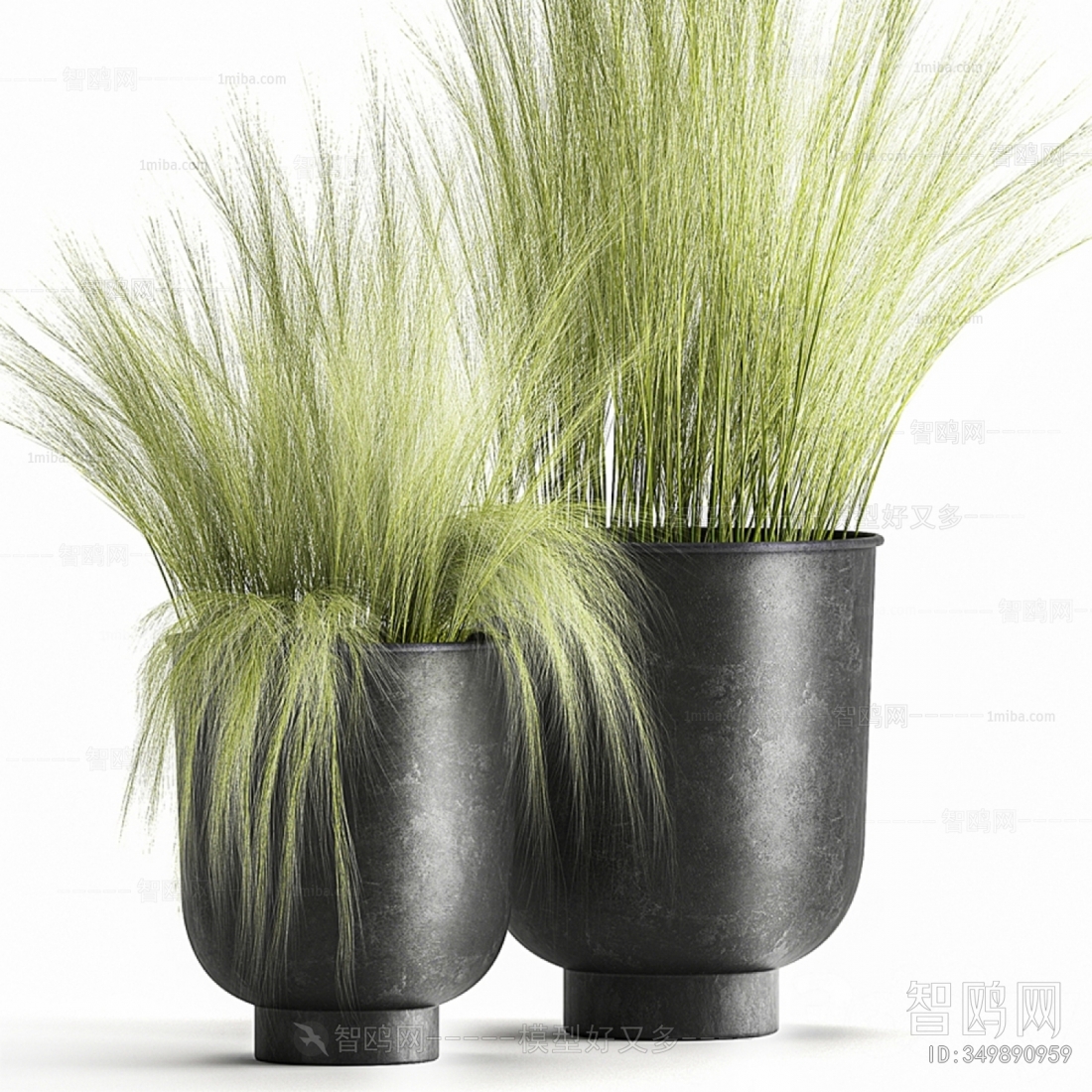 Modern Potted Green Plant