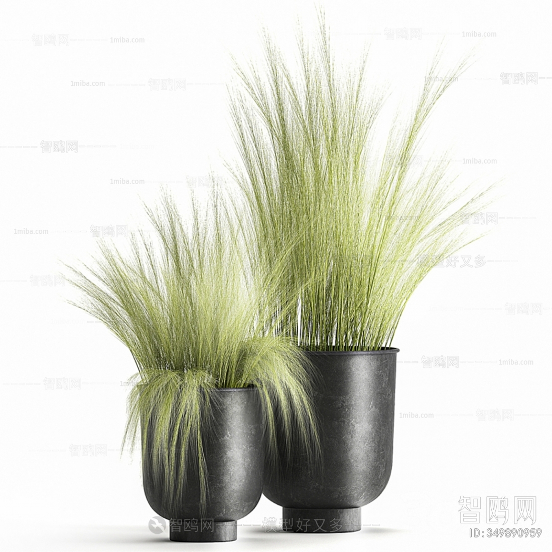 Modern Potted Green Plant