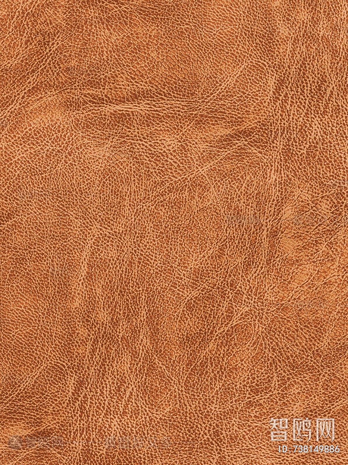 Rough Grain Leather