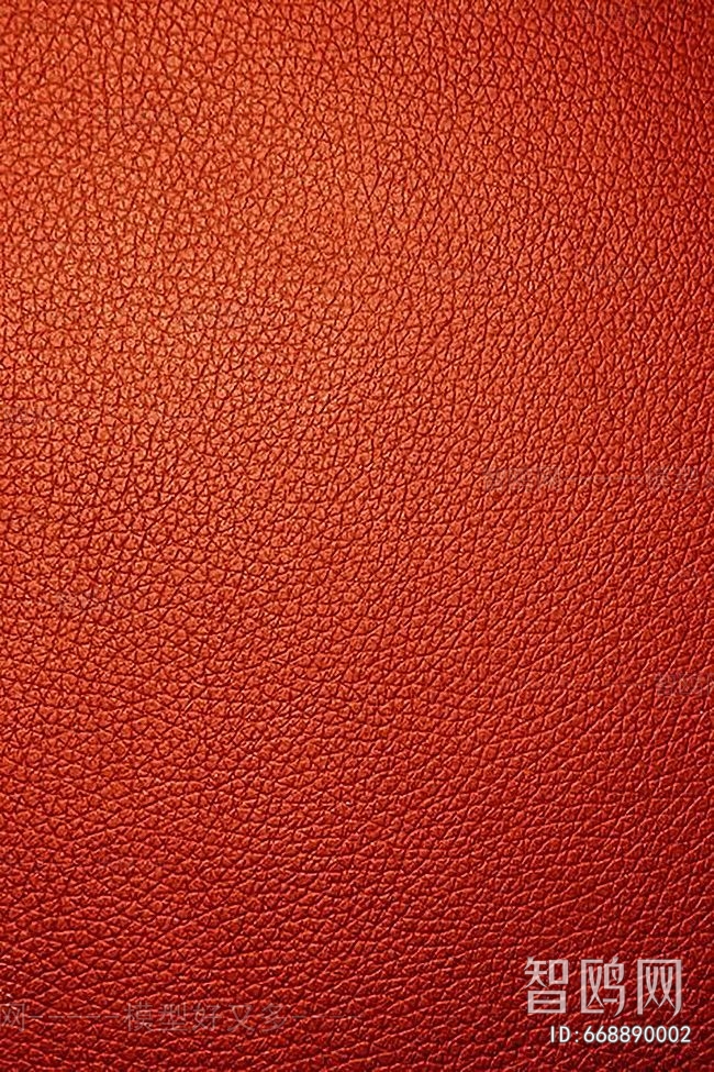 Rough Grain Leather