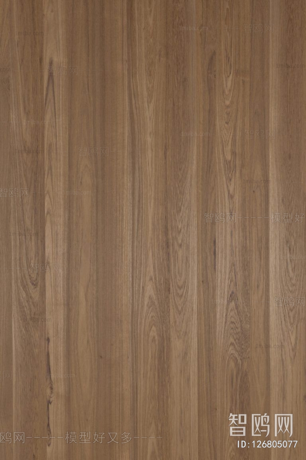 Wood Texture