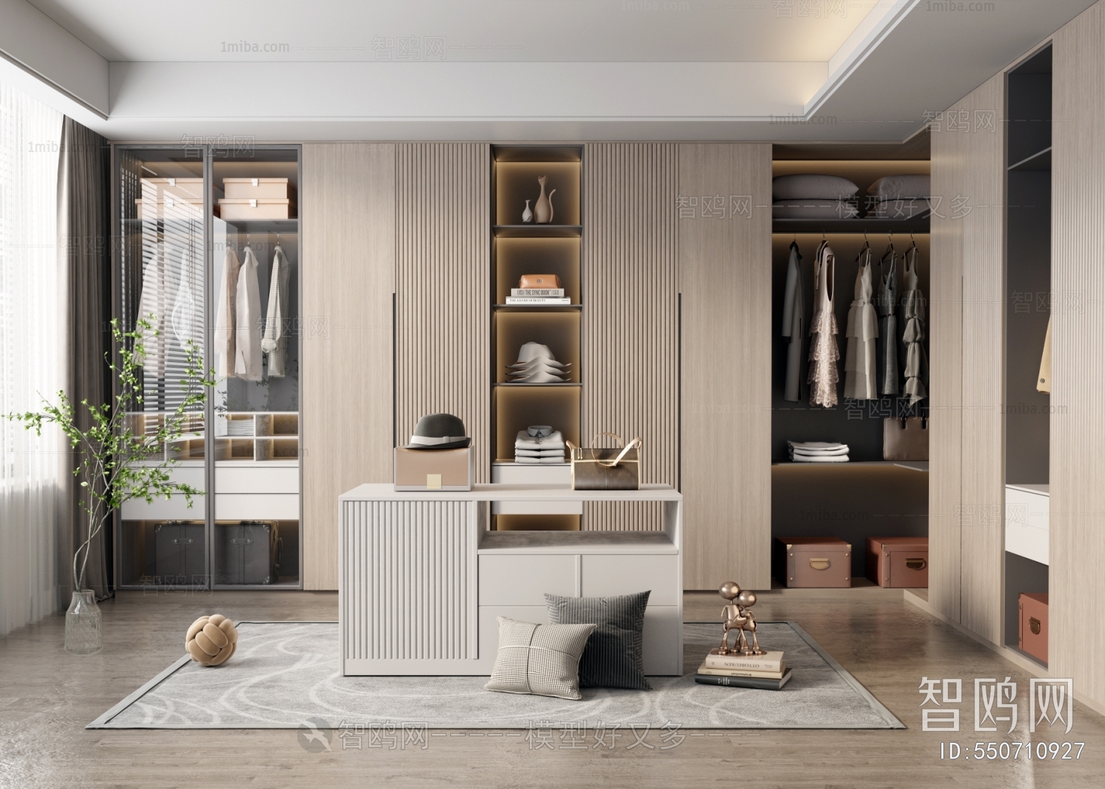 Modern Clothes Storage Area