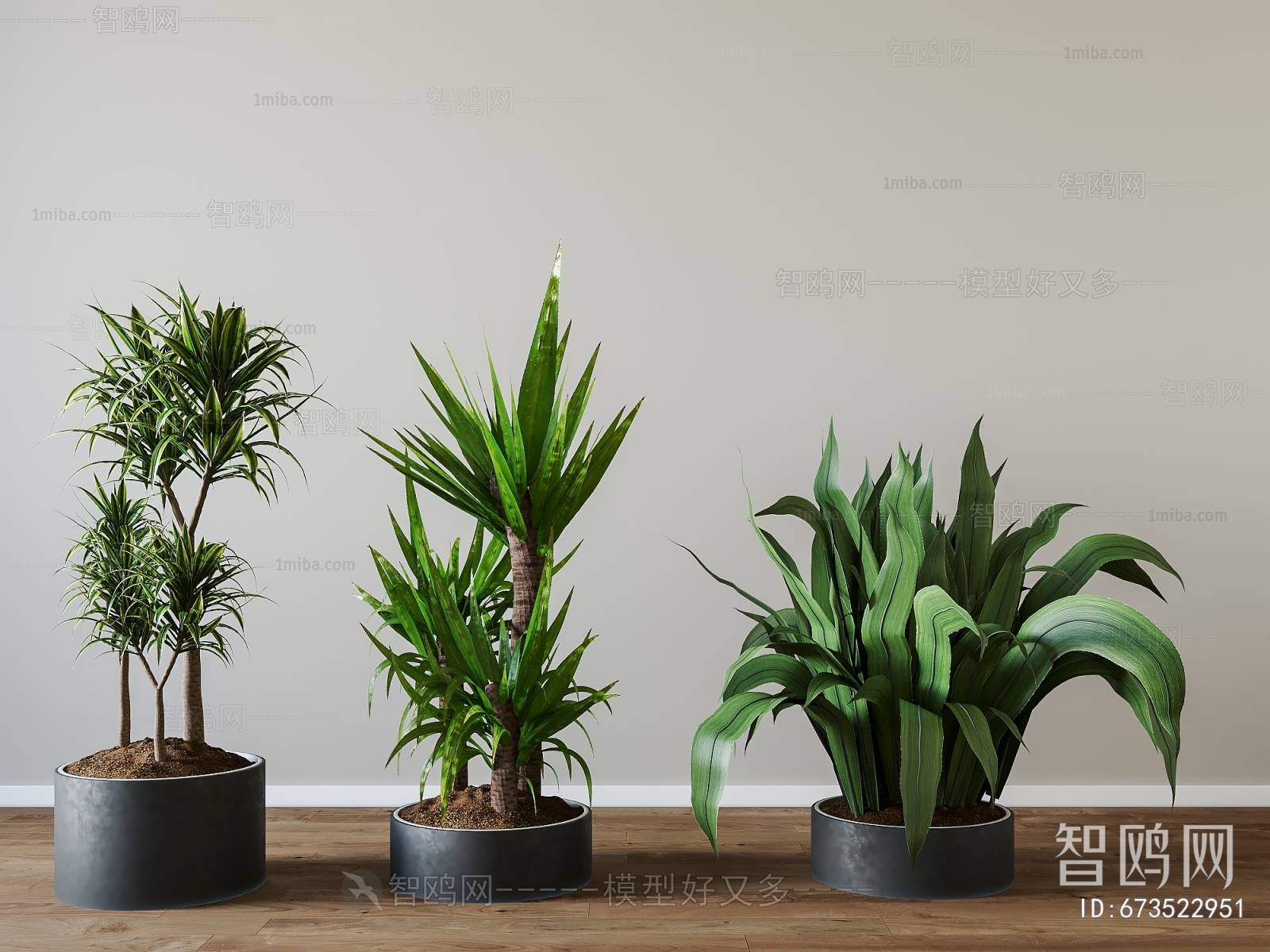 Modern Potted Green Plant