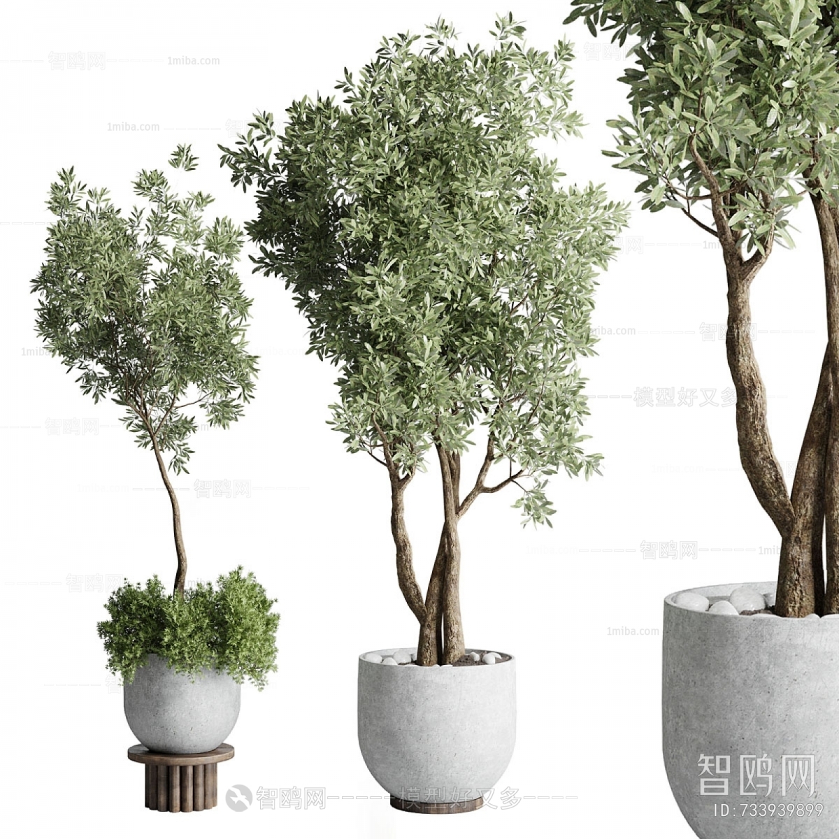 现代绿植盆栽