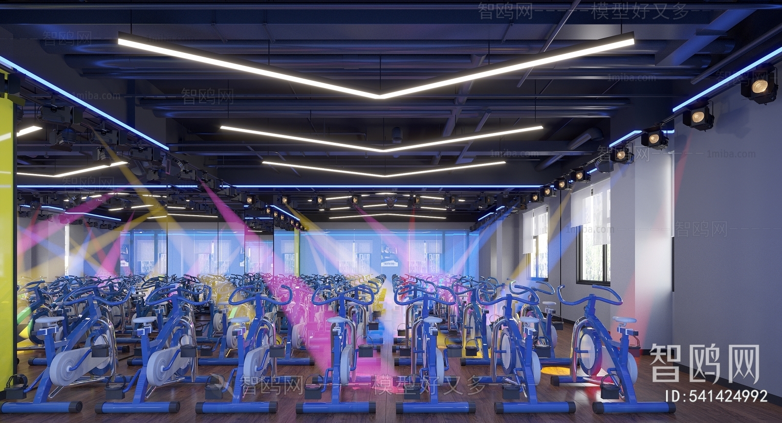 Modern Gym