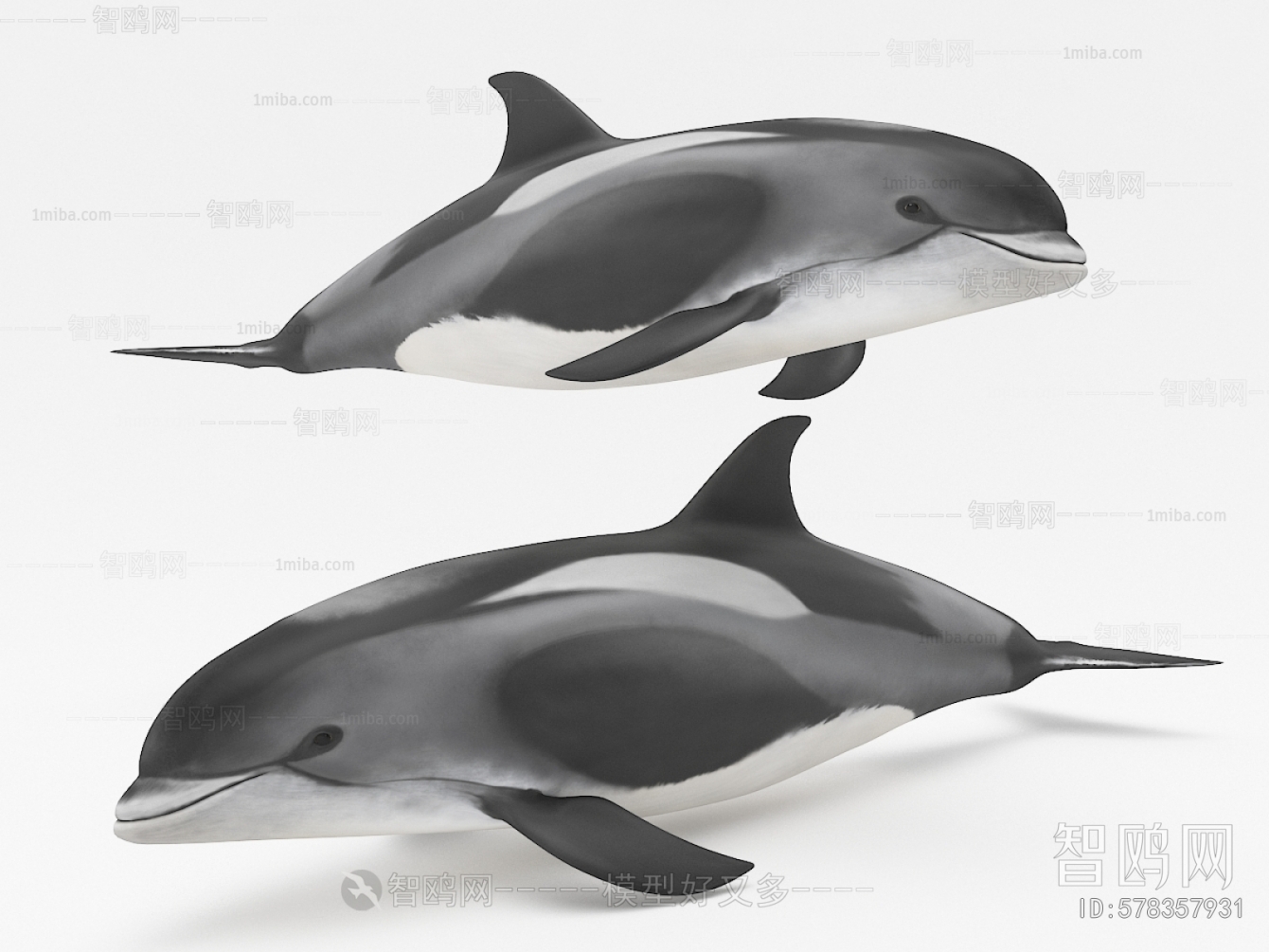 现代海豚