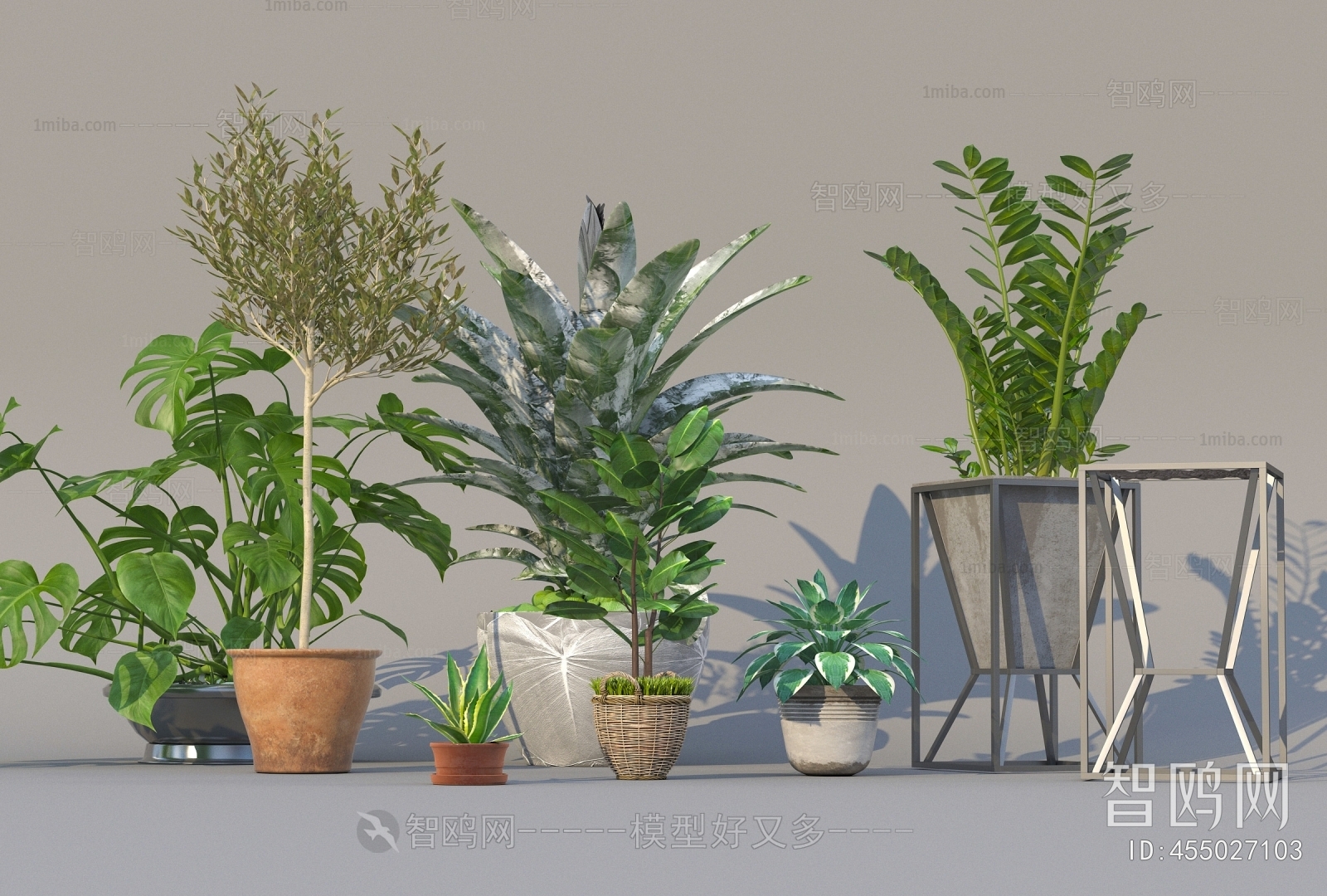 Modern Potted Green Plant