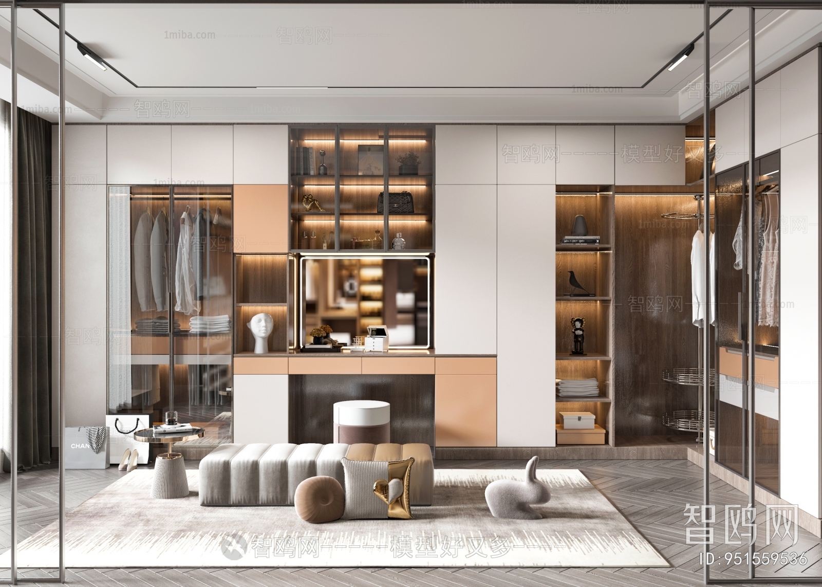 Modern Clothes Storage Area