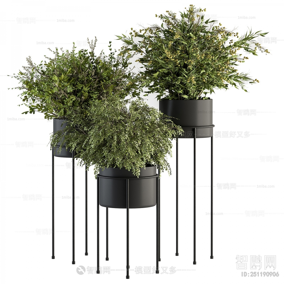 Modern Potted Green Plant