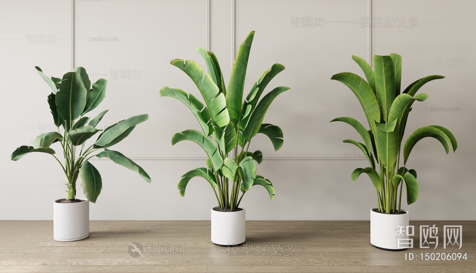 Modern Potted Green Plant