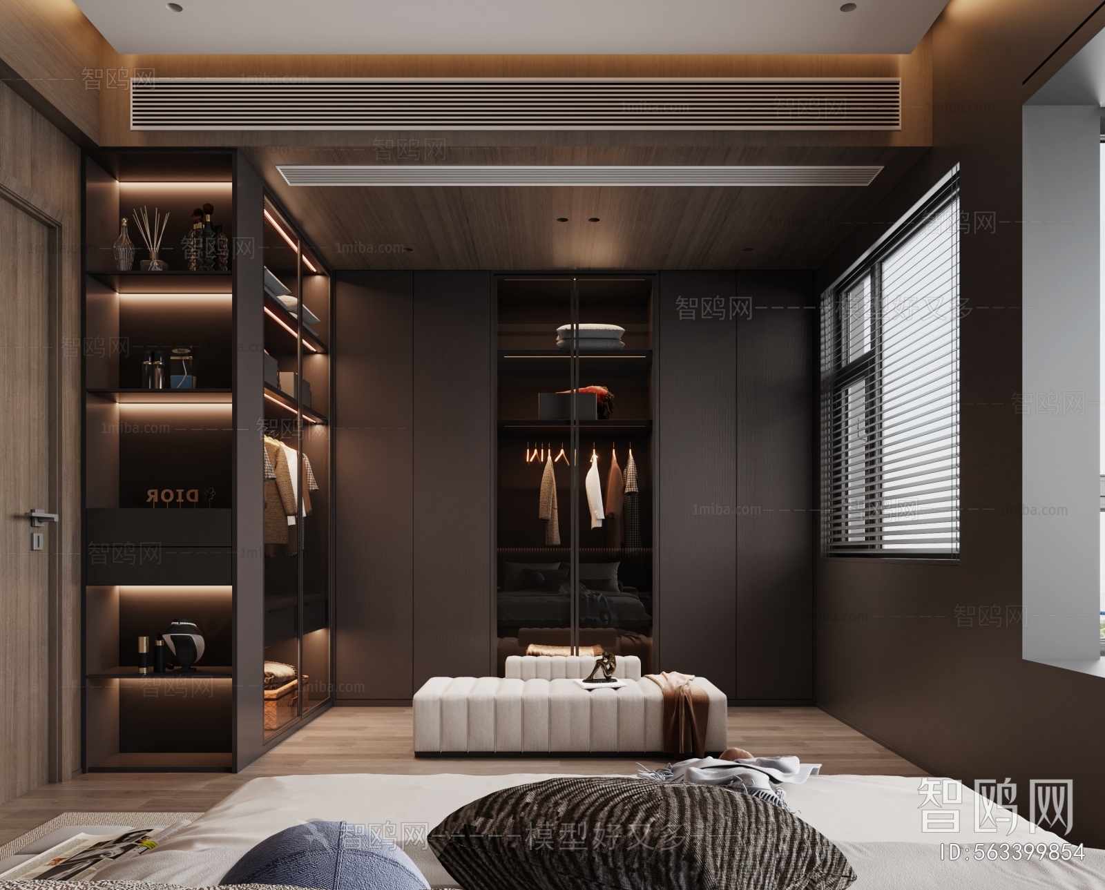 Modern Clothes Storage Area