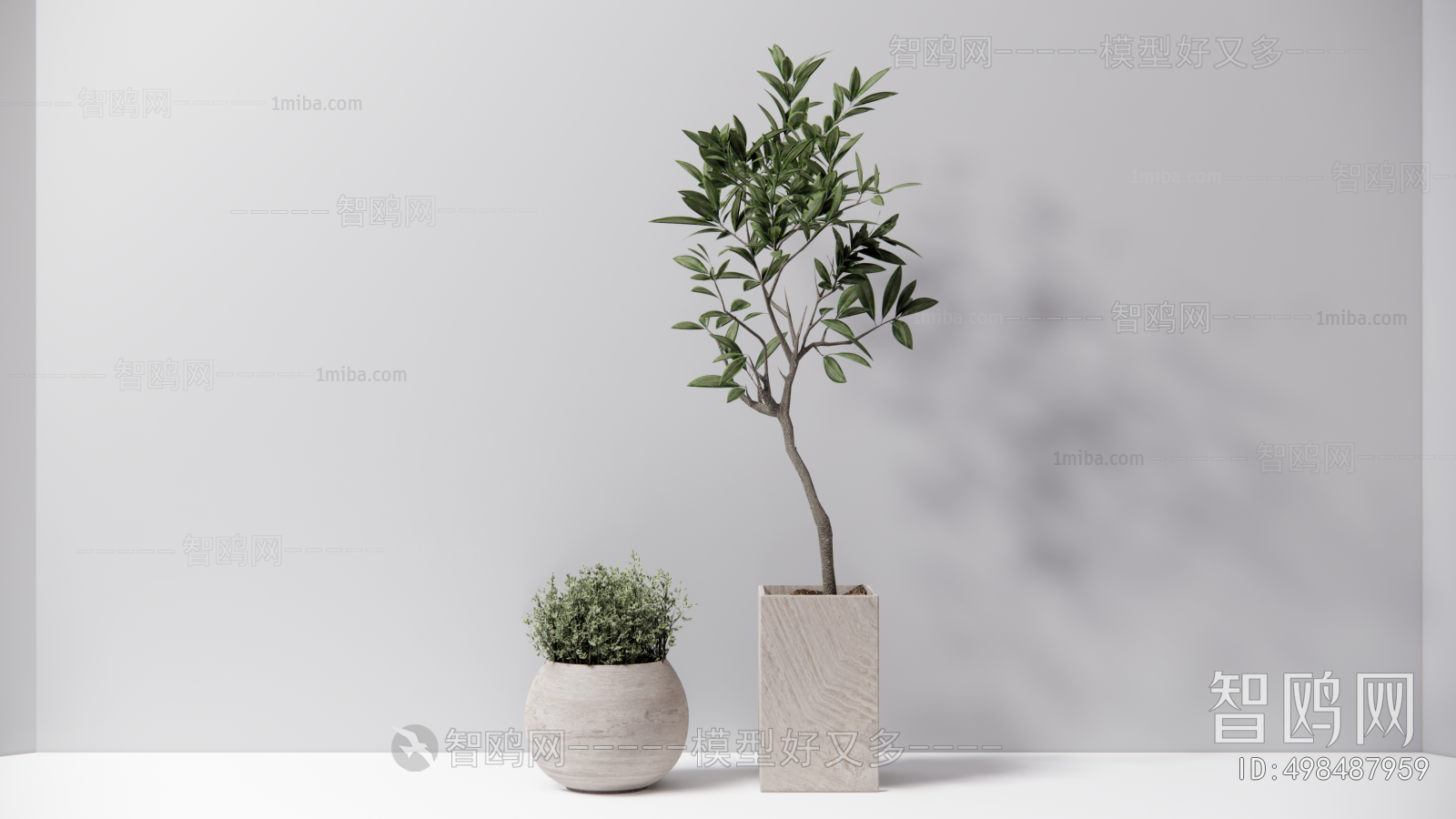 Modern Potted Green Plant