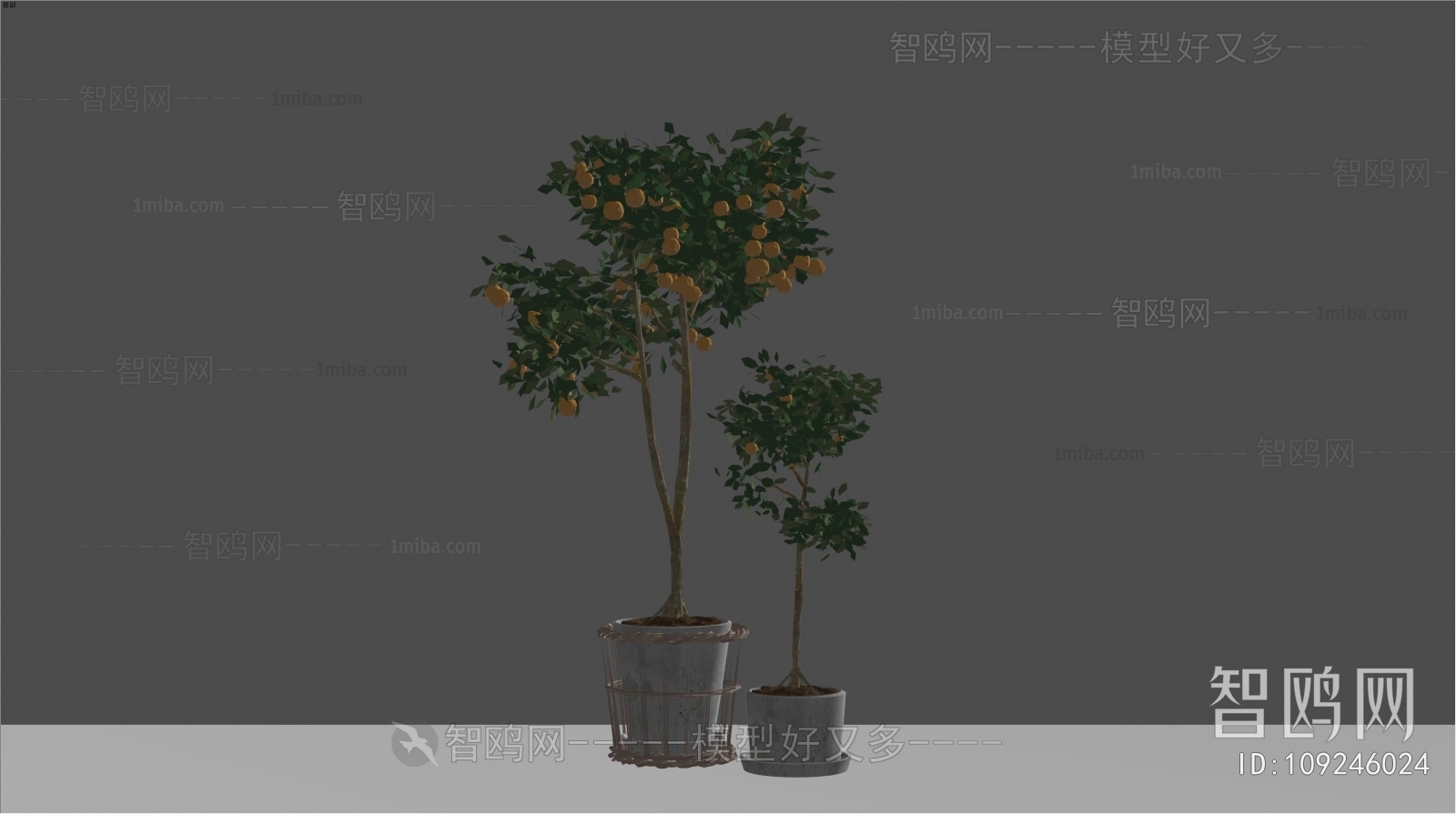 Modern Potted Green Plant