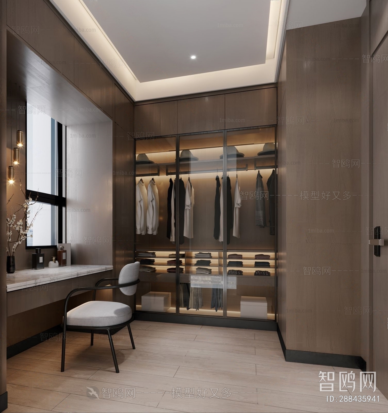 Modern Clothes Storage Area