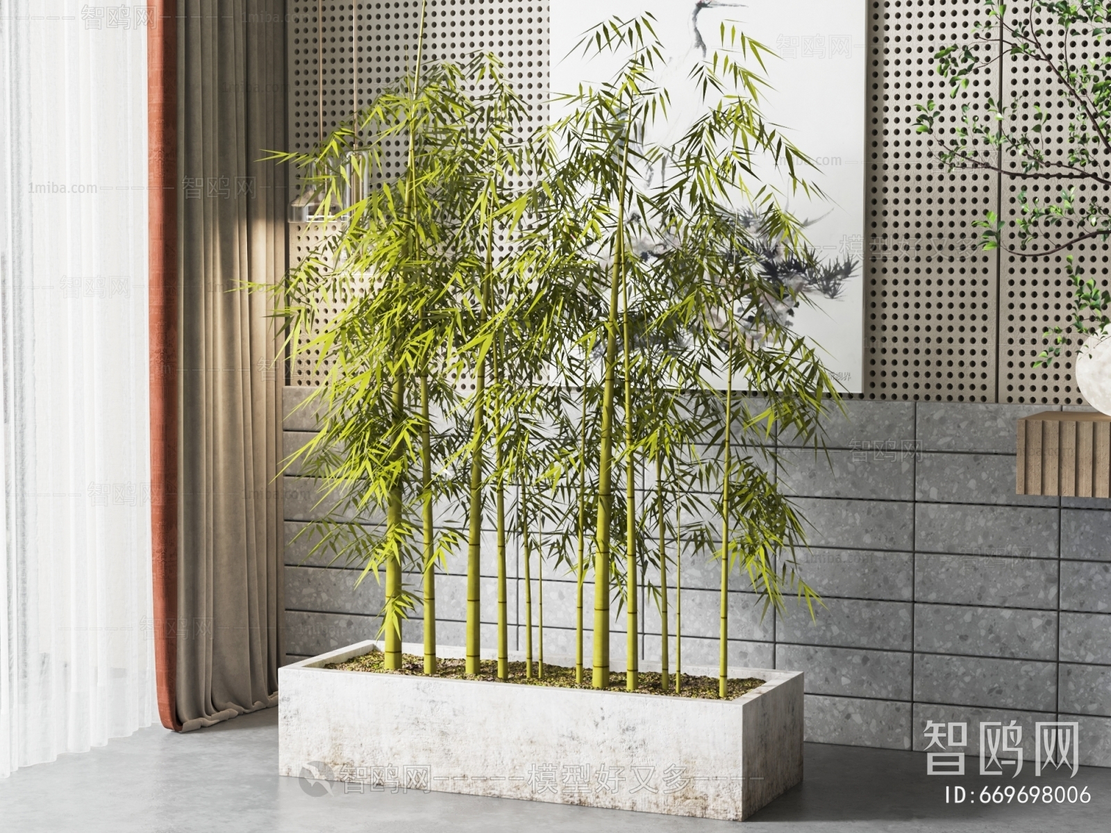 现代竹子绿植盆栽