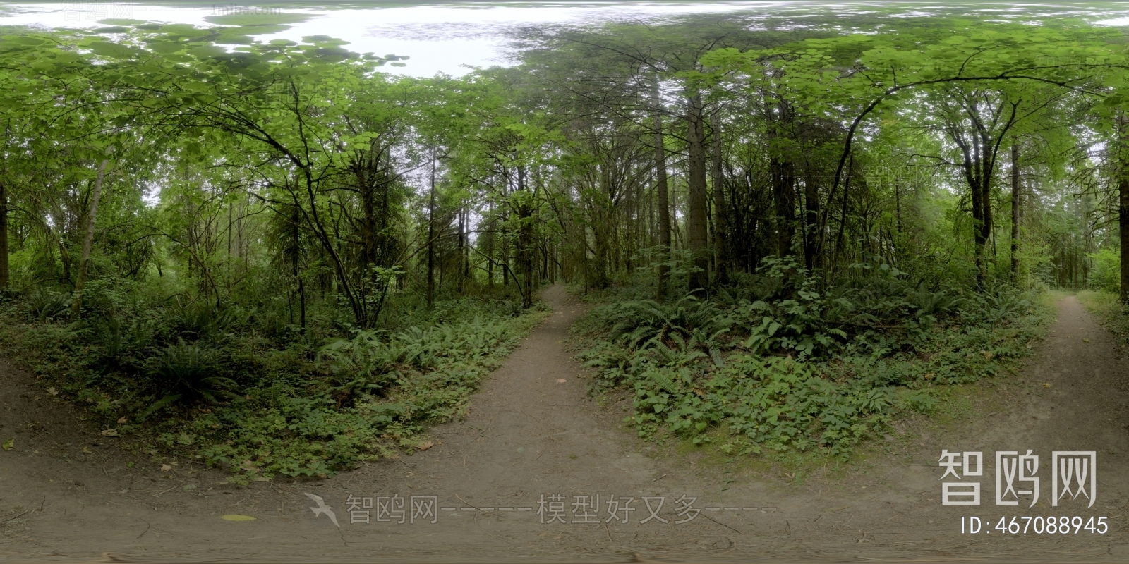 树林HDR贴图