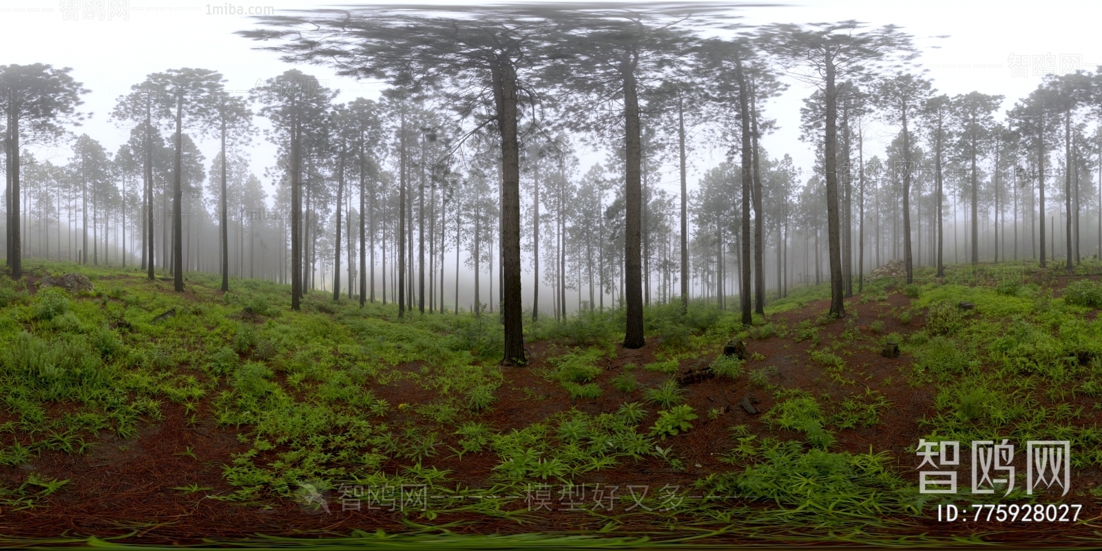 树林HDR贴图