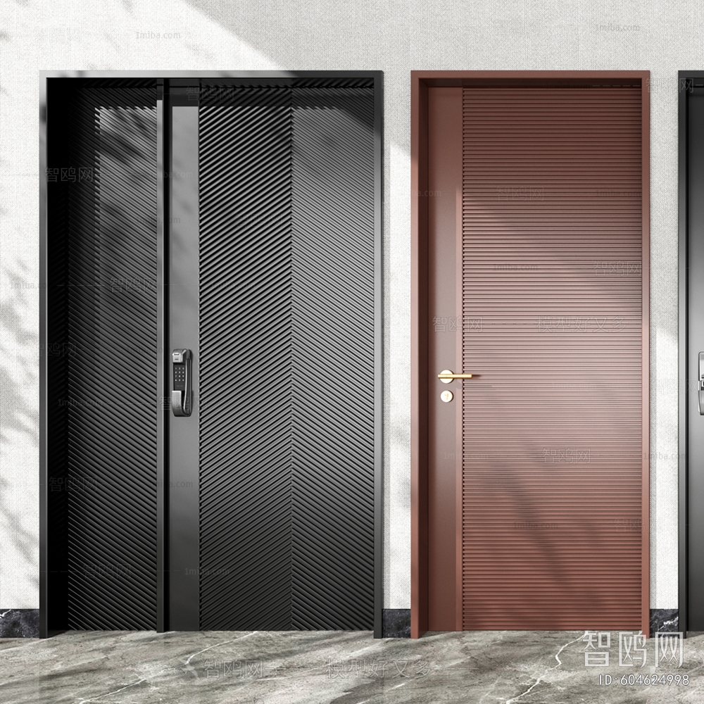 Modern Entrance Door