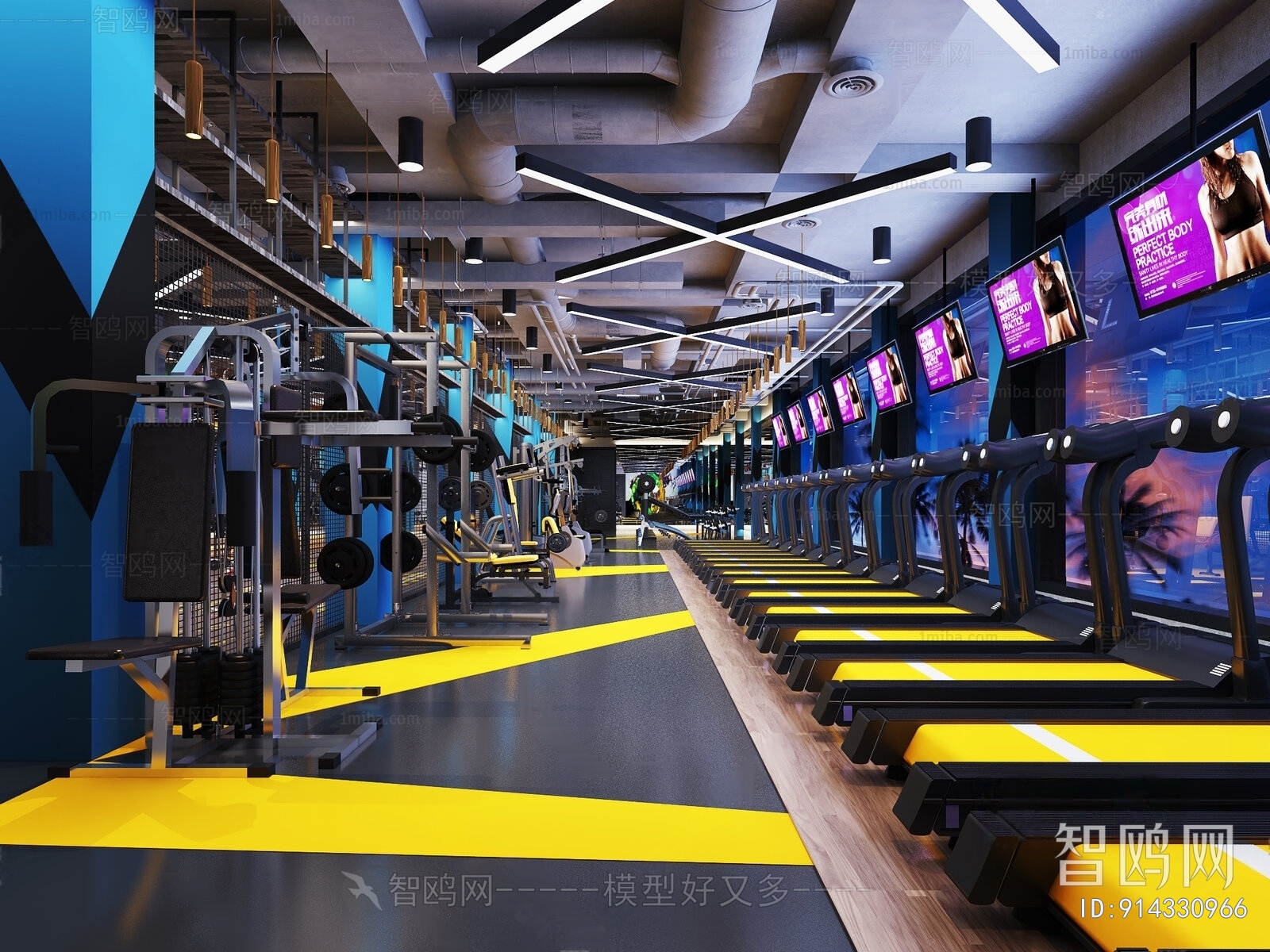 Modern Gym