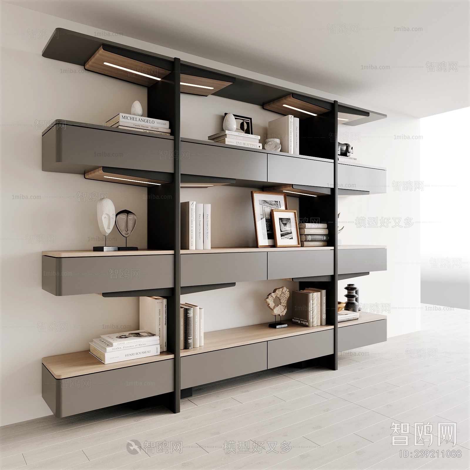 Modern Bookshelf