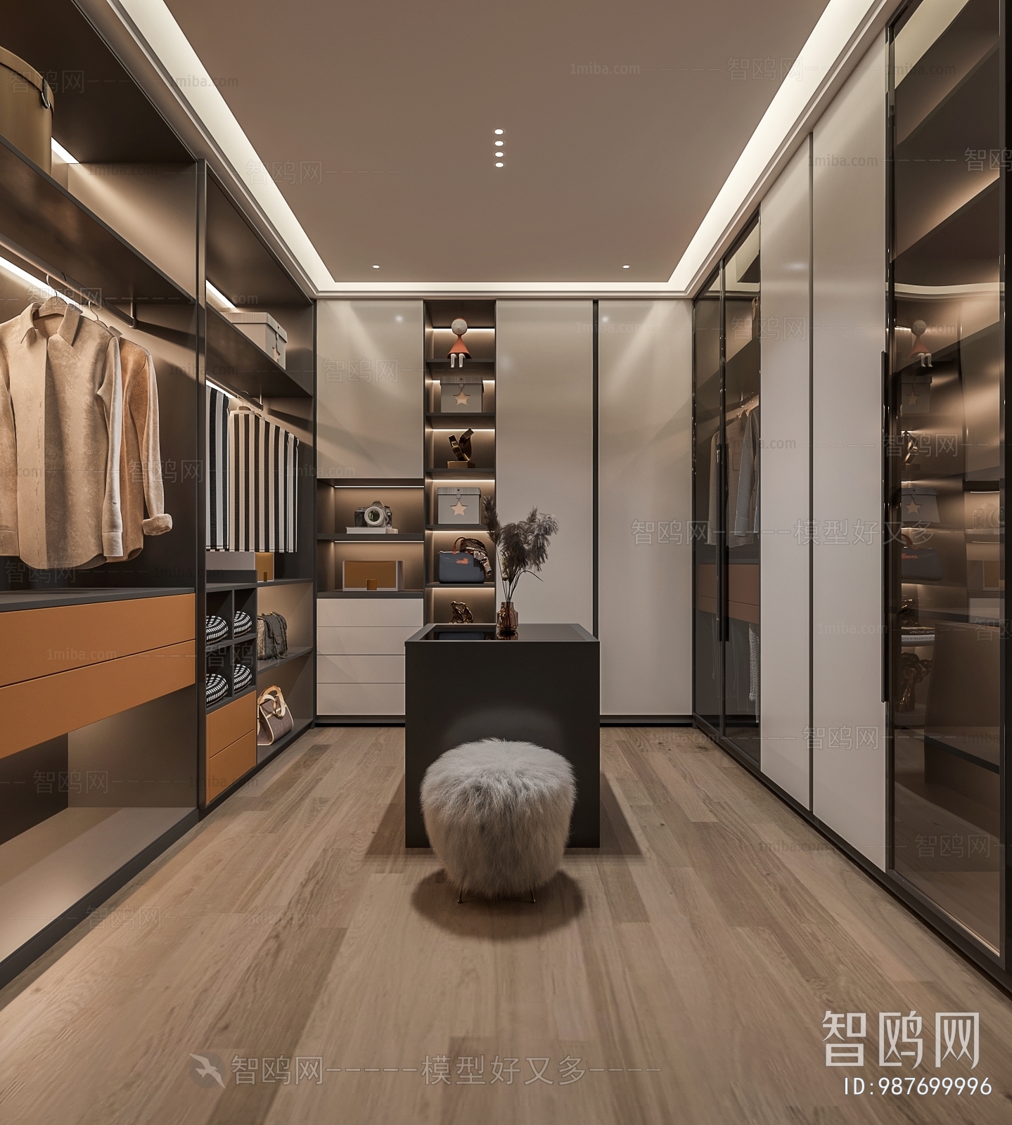 Modern Clothes Storage Area