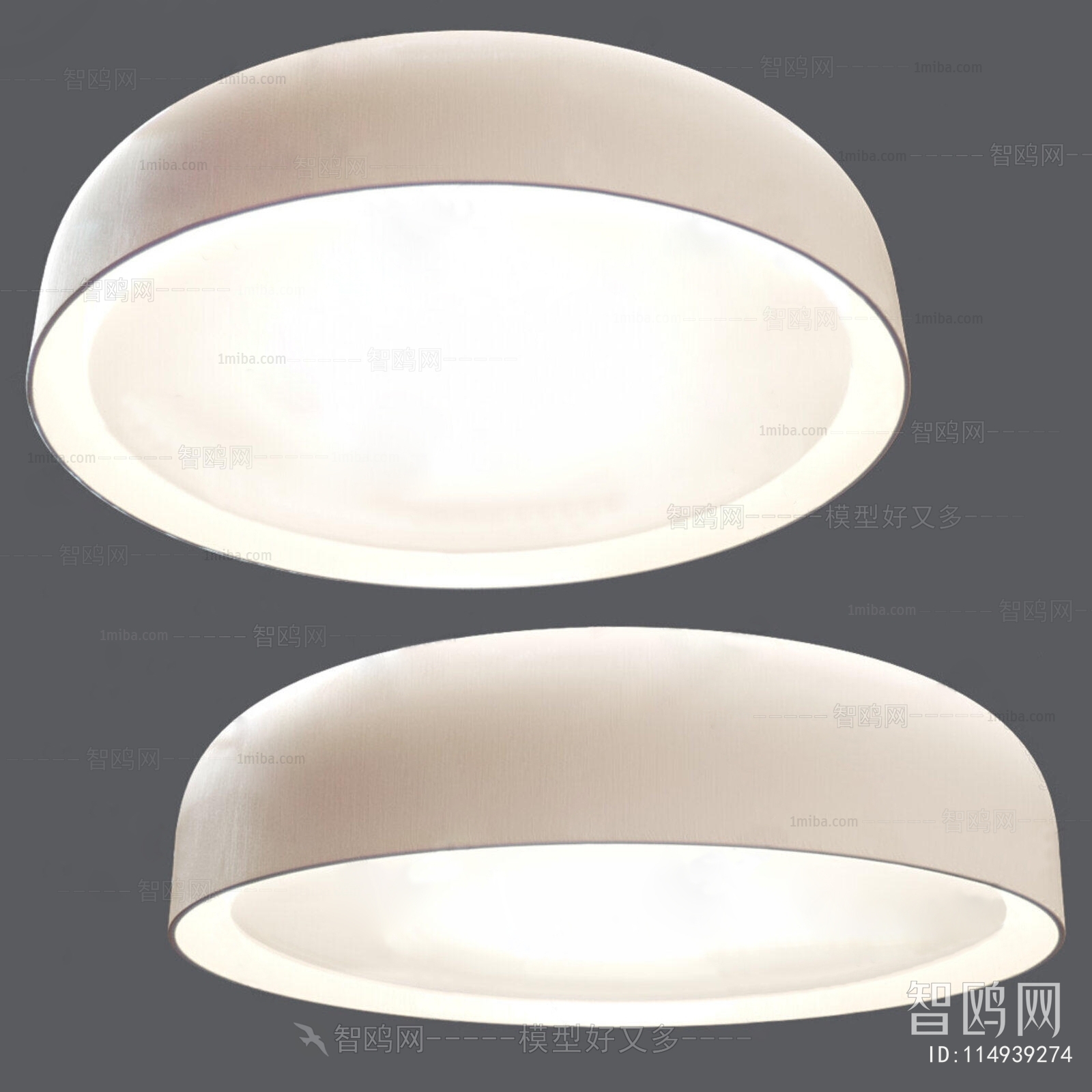 Modern Ceiling Ceiling Lamp