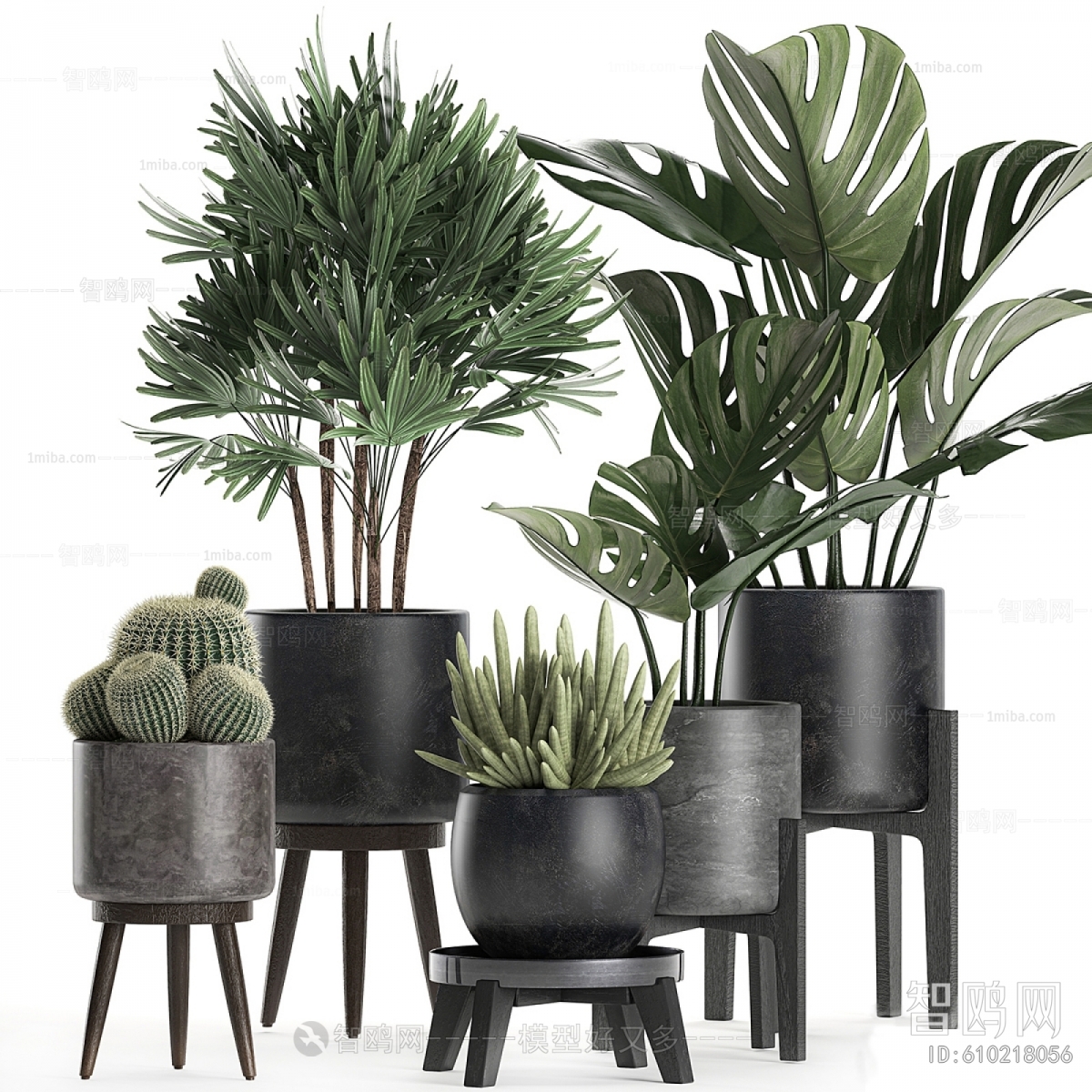 Modern Potted Green Plant