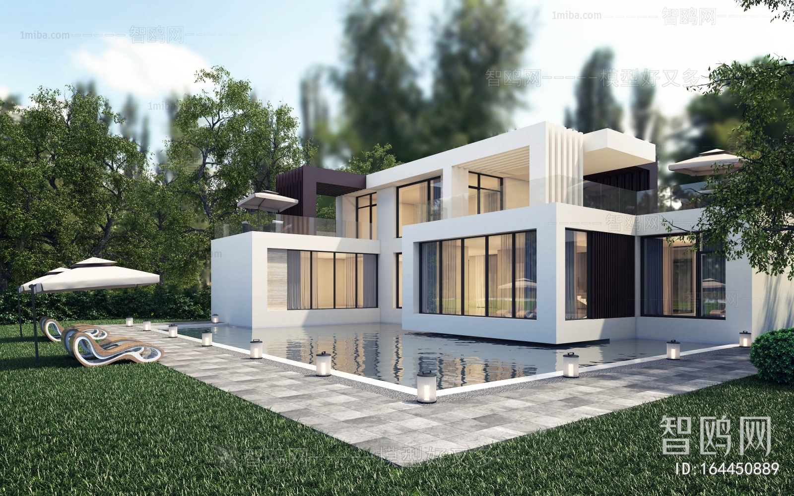 Modern Villa Appearance