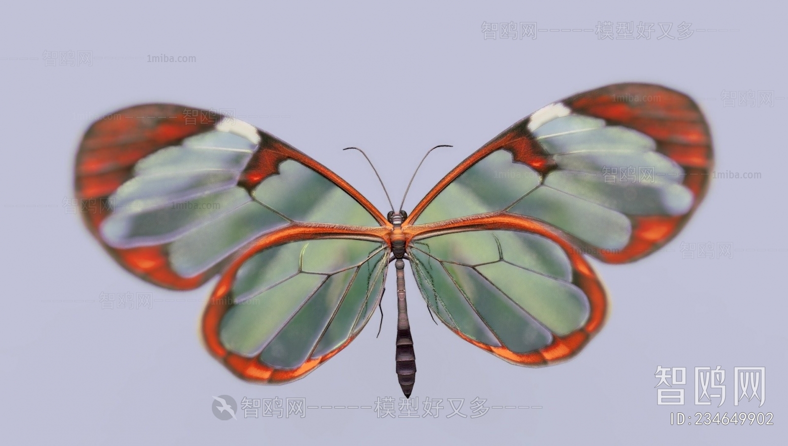 现代蝴蝶