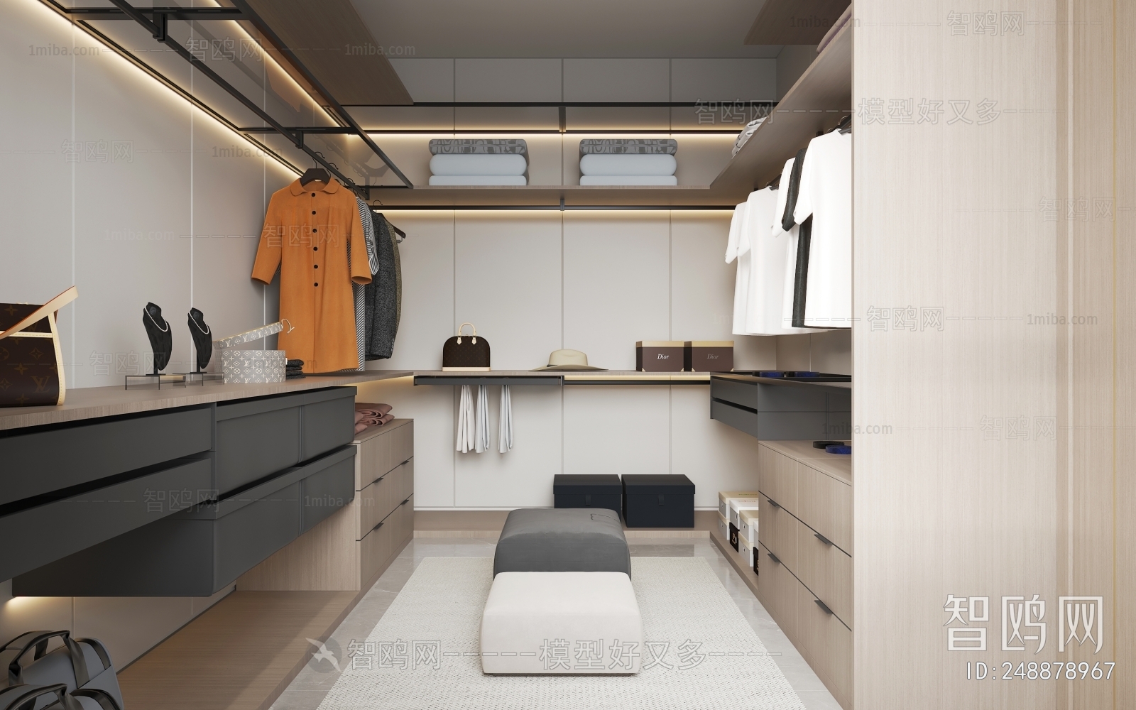 Modern Clothes Storage Area