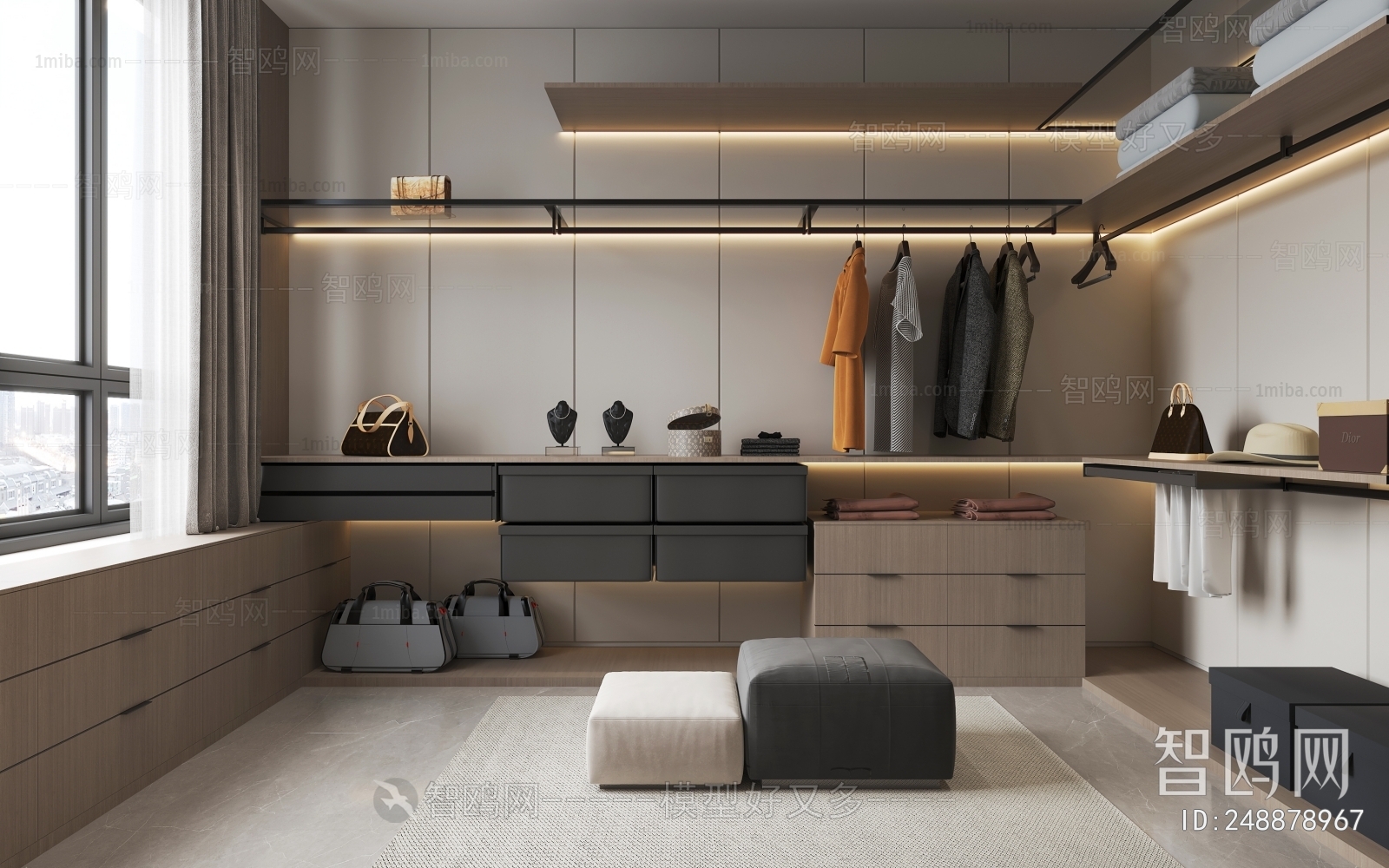 Modern Clothes Storage Area