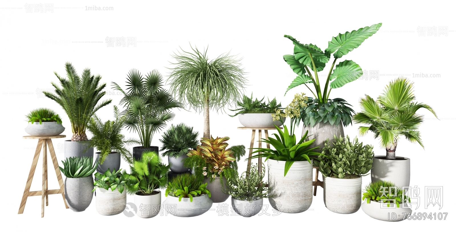 Modern Potted Green Plant