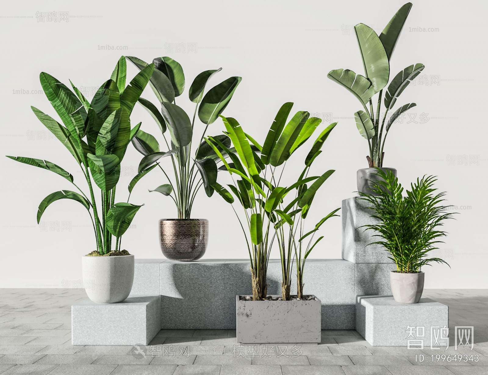 Modern Potted Green Plant