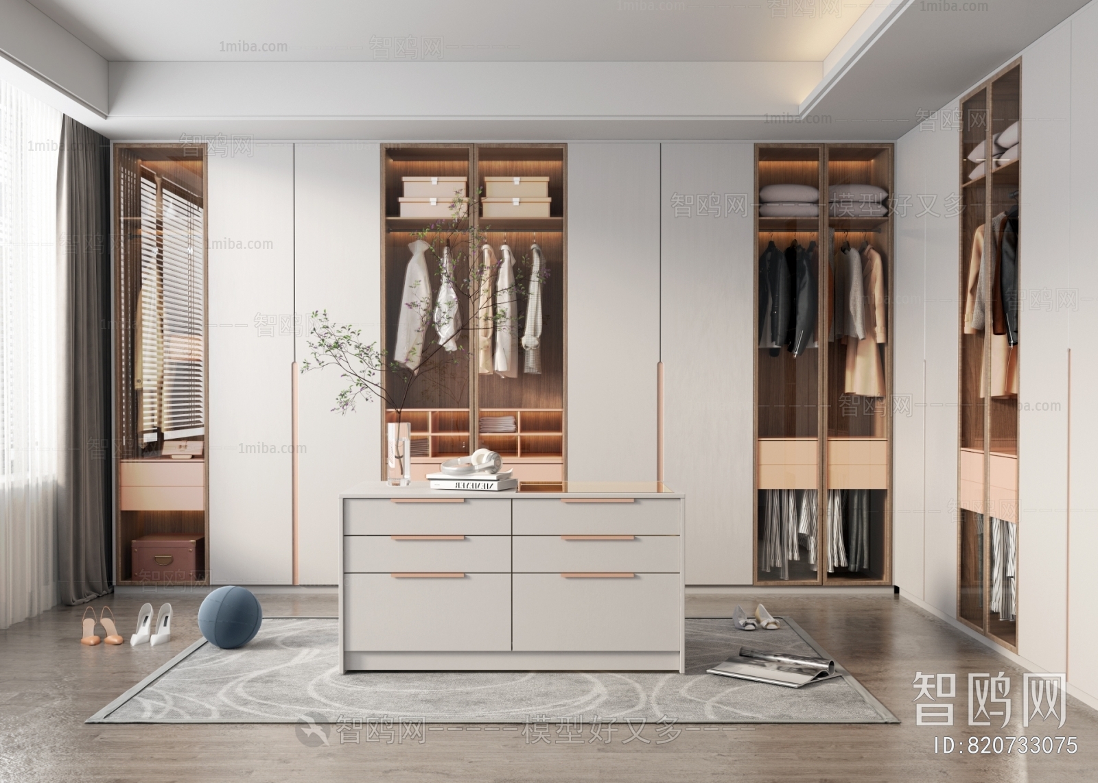 Modern Clothes Storage Area