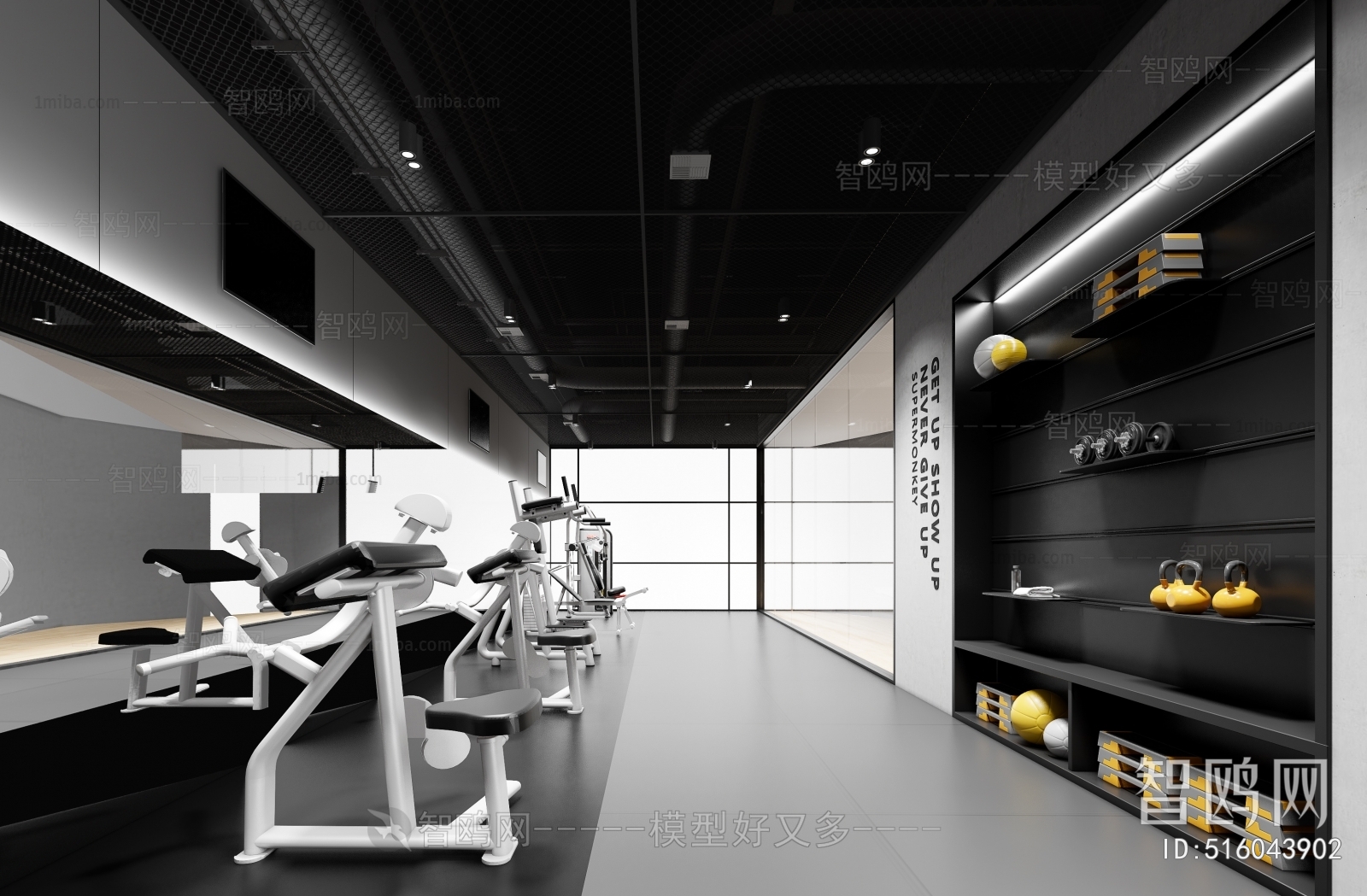 Modern Gym