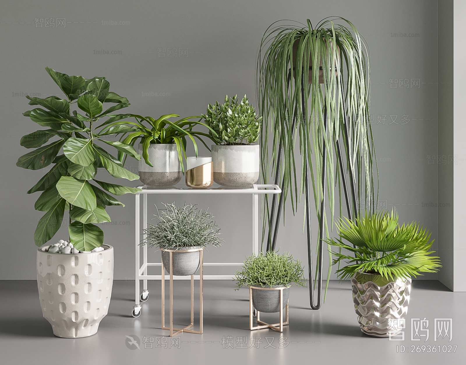 Modern Potted Green Plant