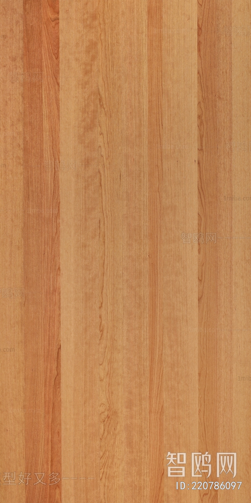 Wood Texture