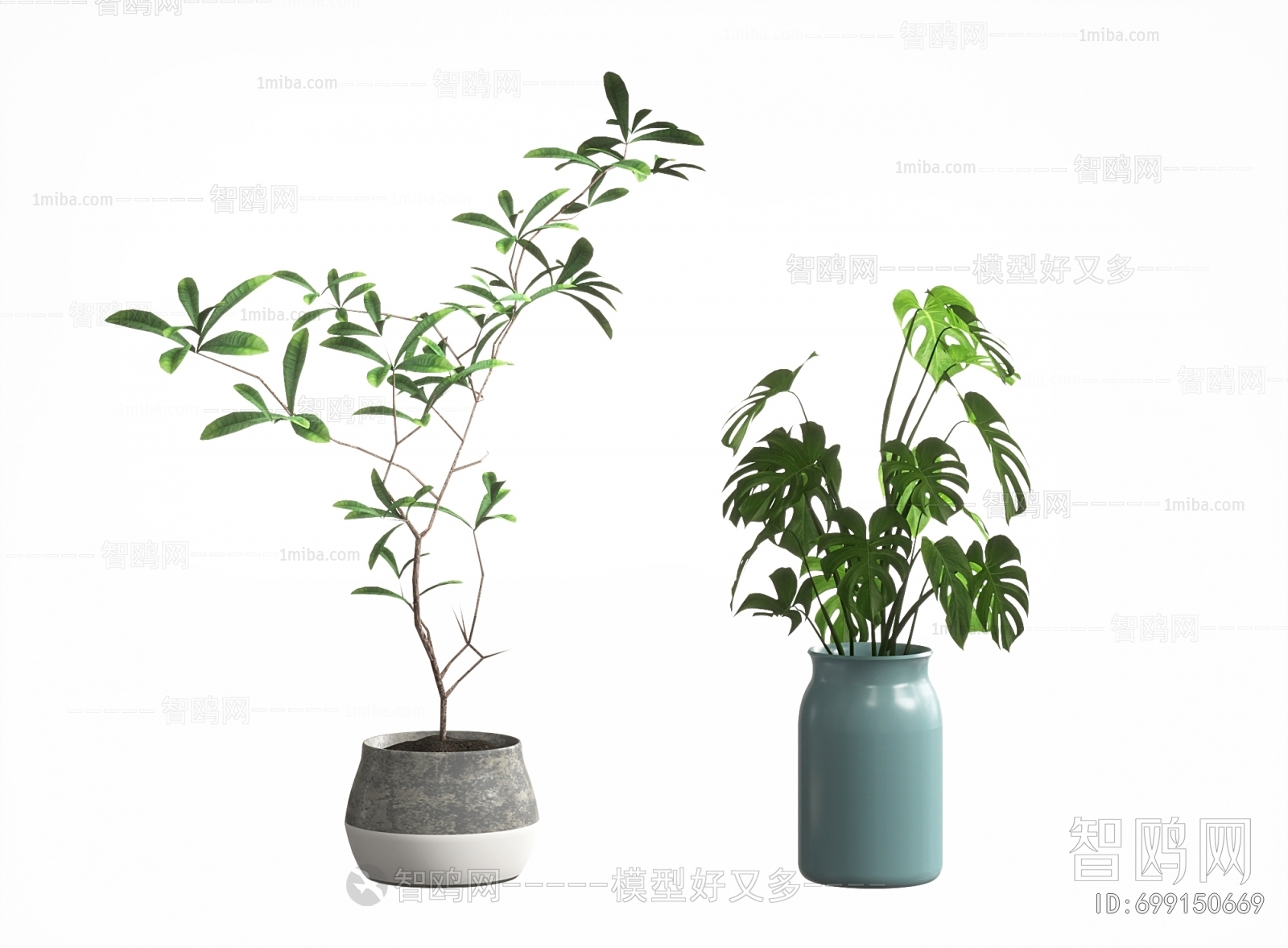 Modern Potted Green Plant