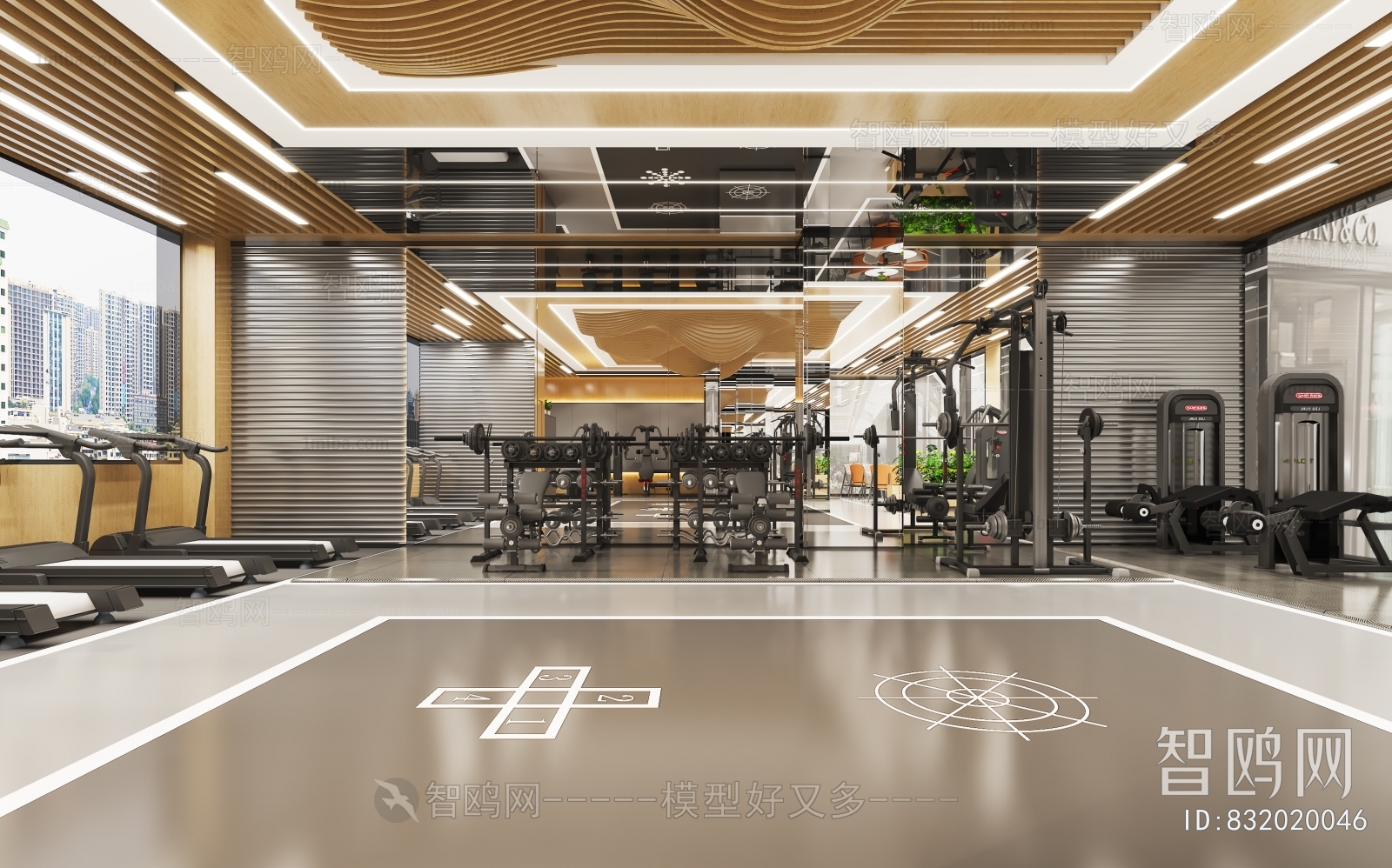 Modern Gym