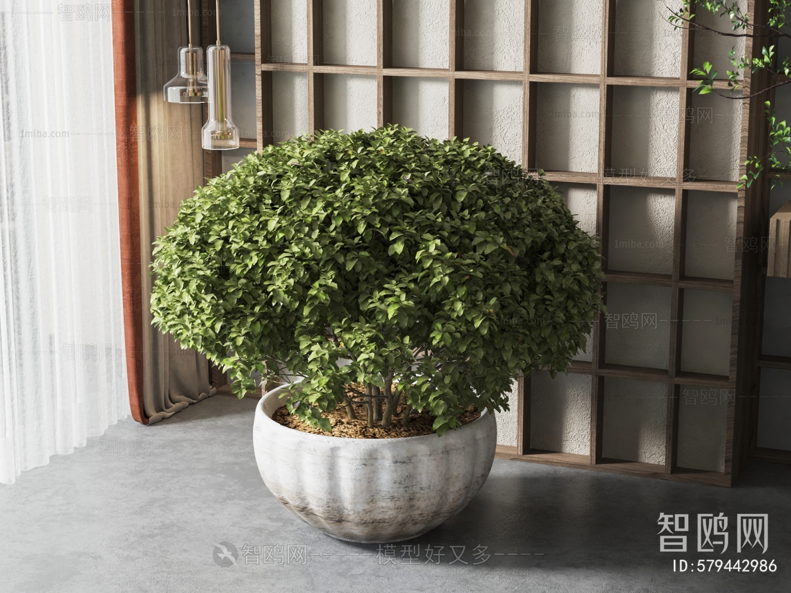 Modern Potted Green Plant