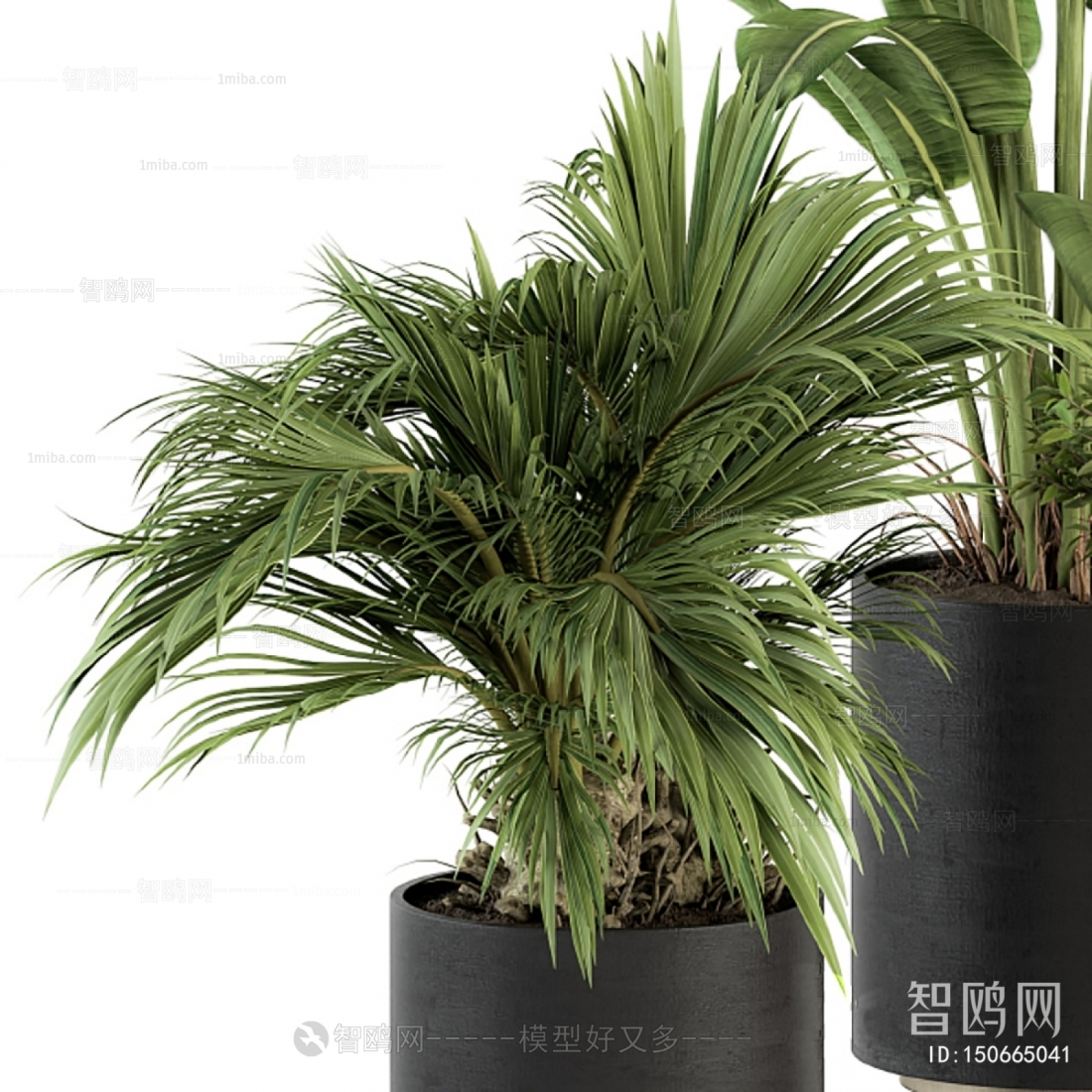 Modern Potted Green Plant