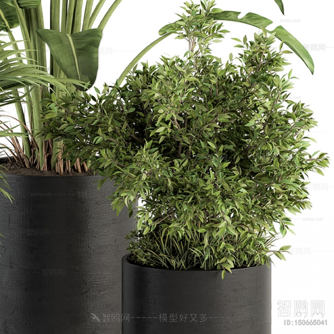 Modern Potted Green Plant