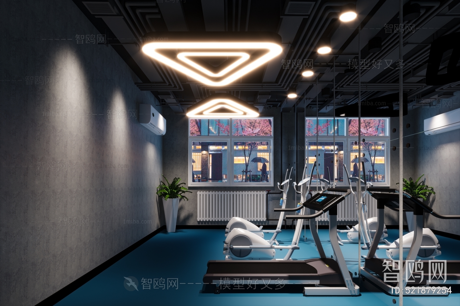 Modern Gym