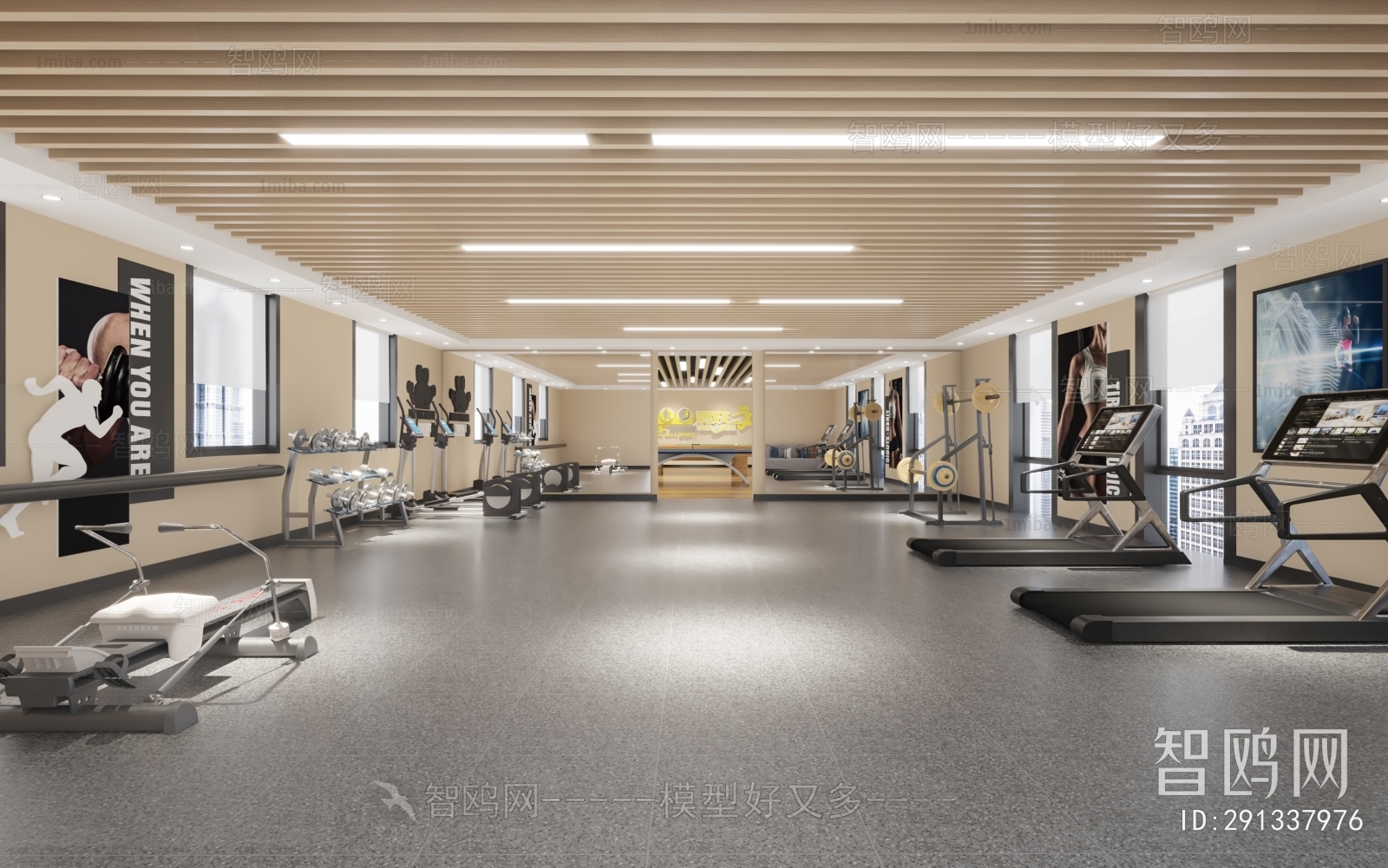 Modern Gym