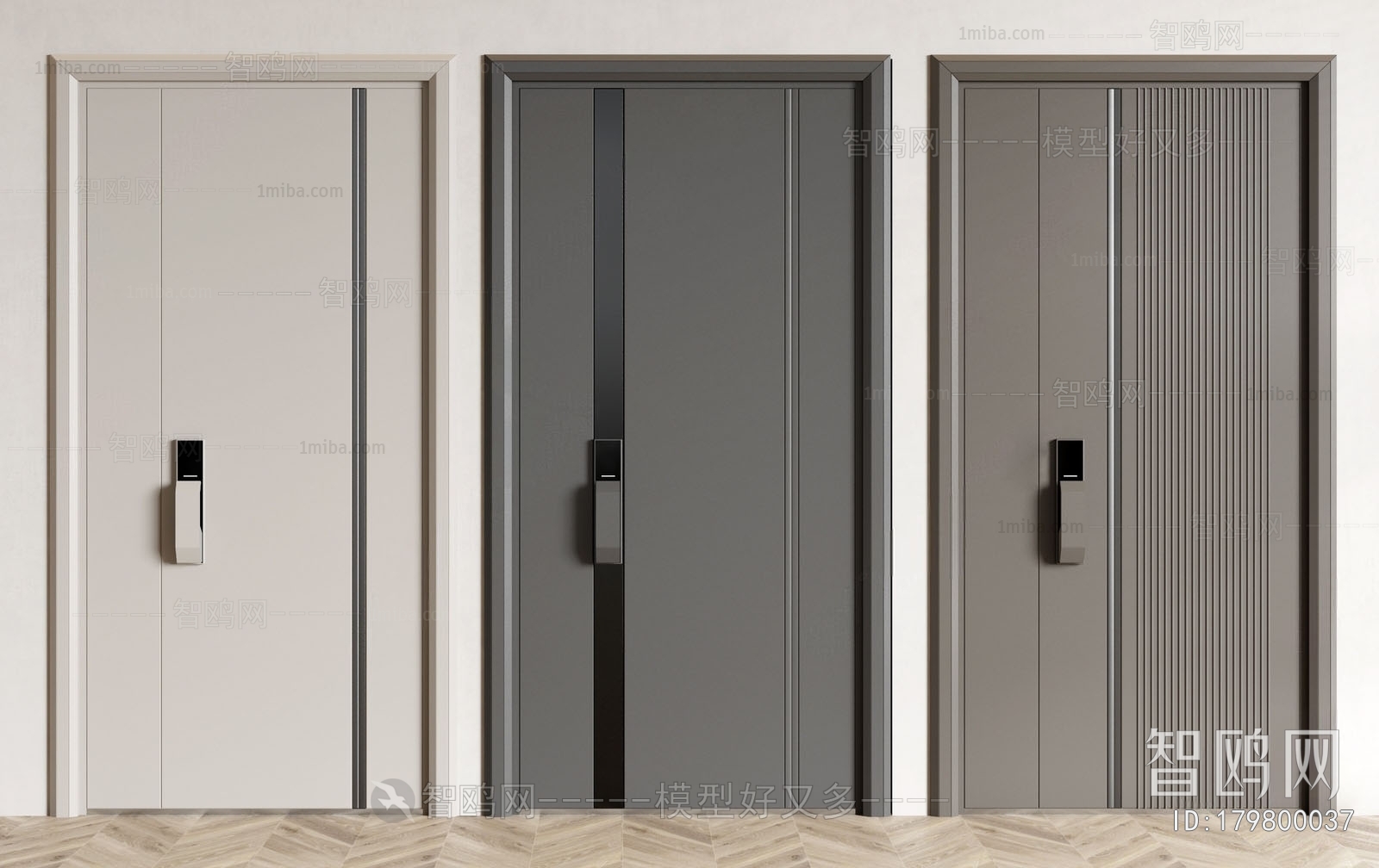 Modern Entrance Door